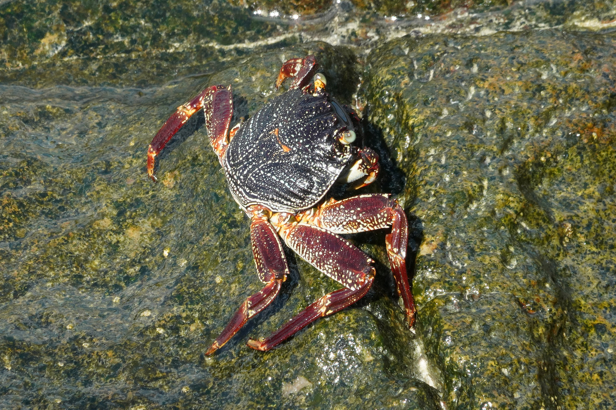 Club Med des Seychelles sur l'ile Saint Anne