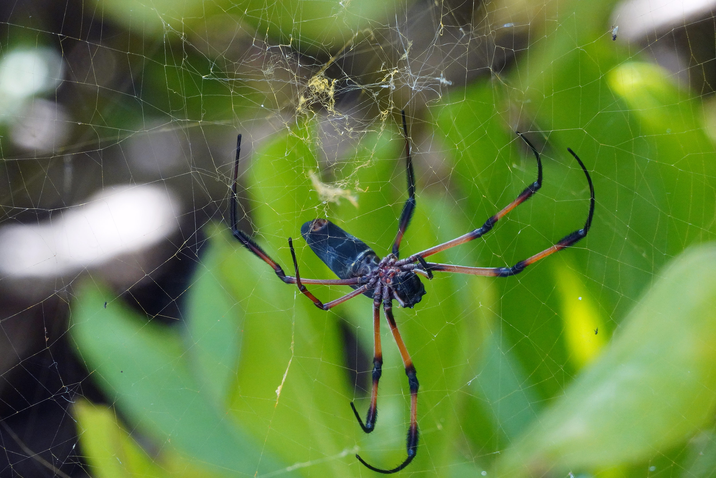 Club Med des Seychelles sur l'ile Saint Anne