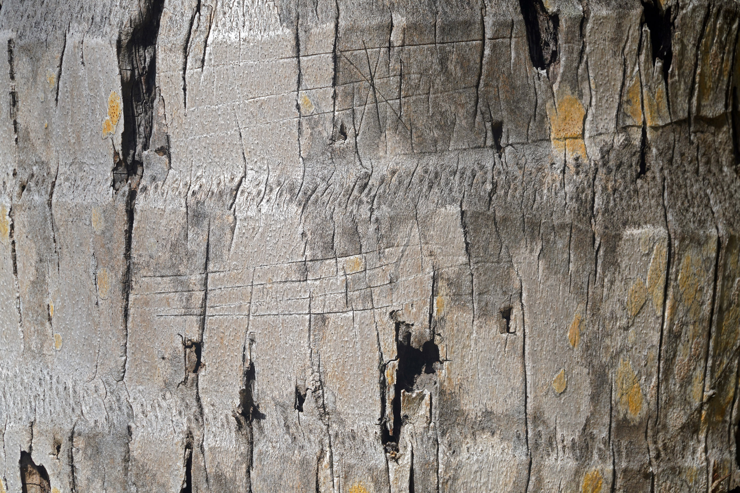 Club Med des Seychelles sur l'ile Saint Anne