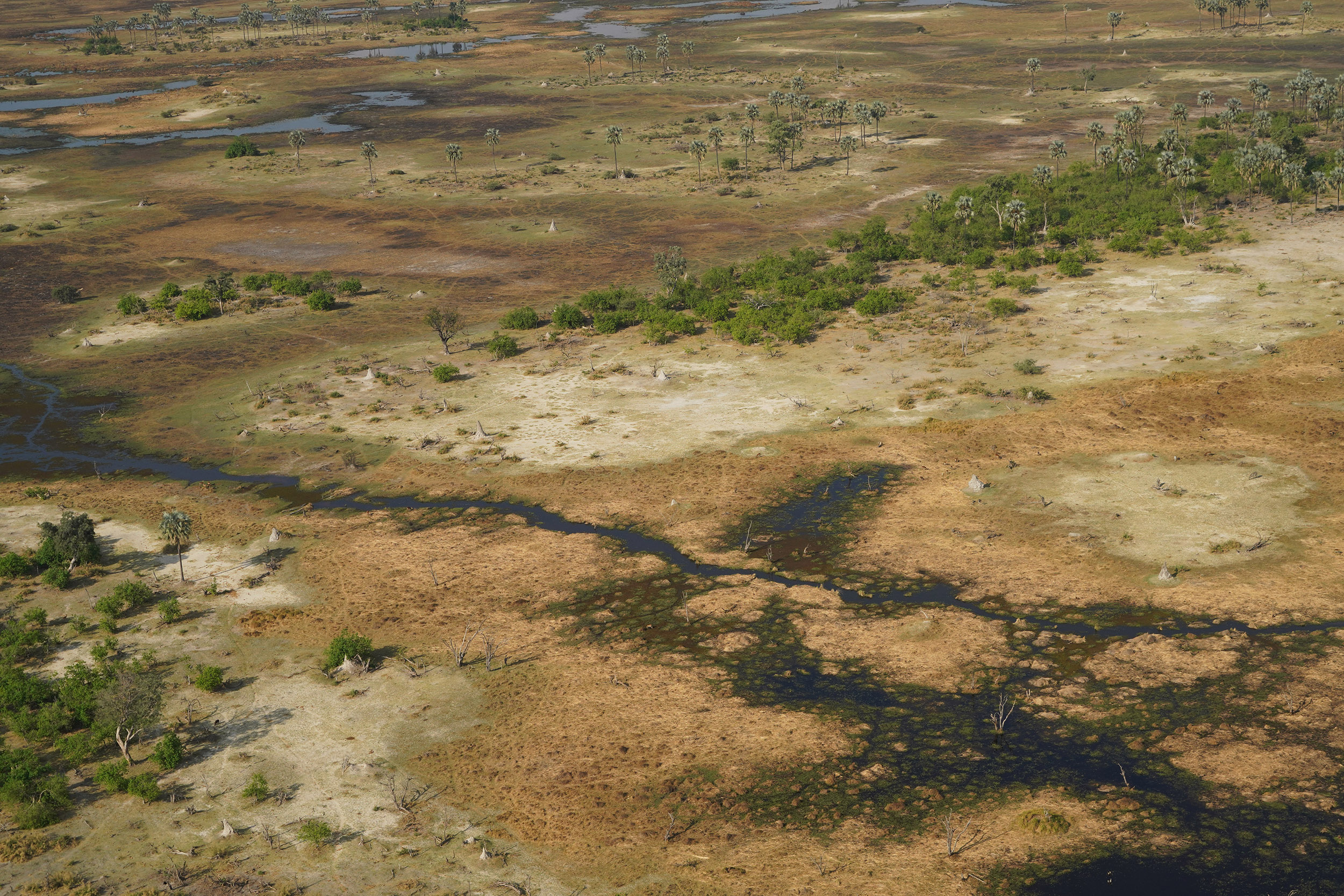 Delta de l'Okavango - Botswana