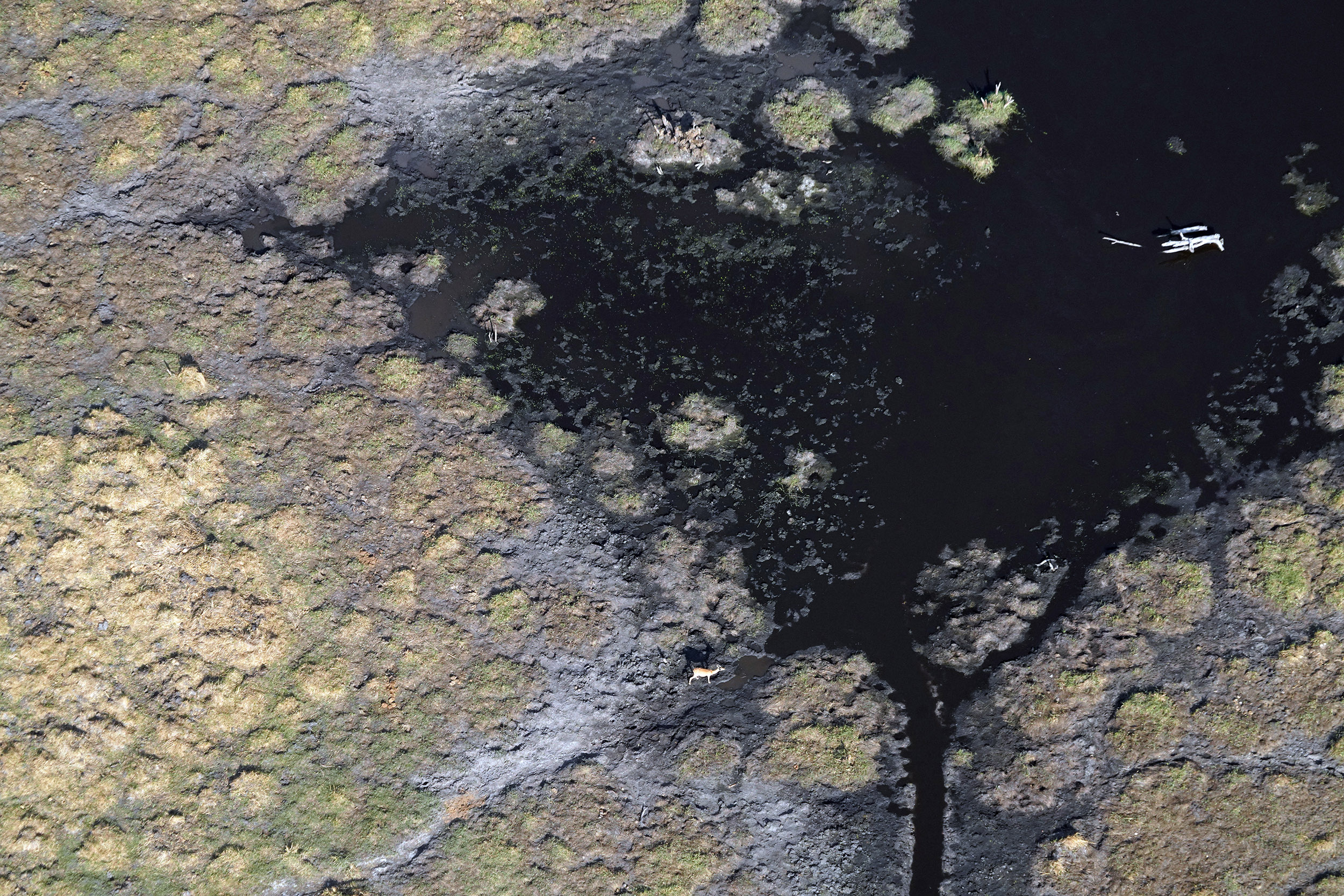 Delta de l'Okavango - Botswana