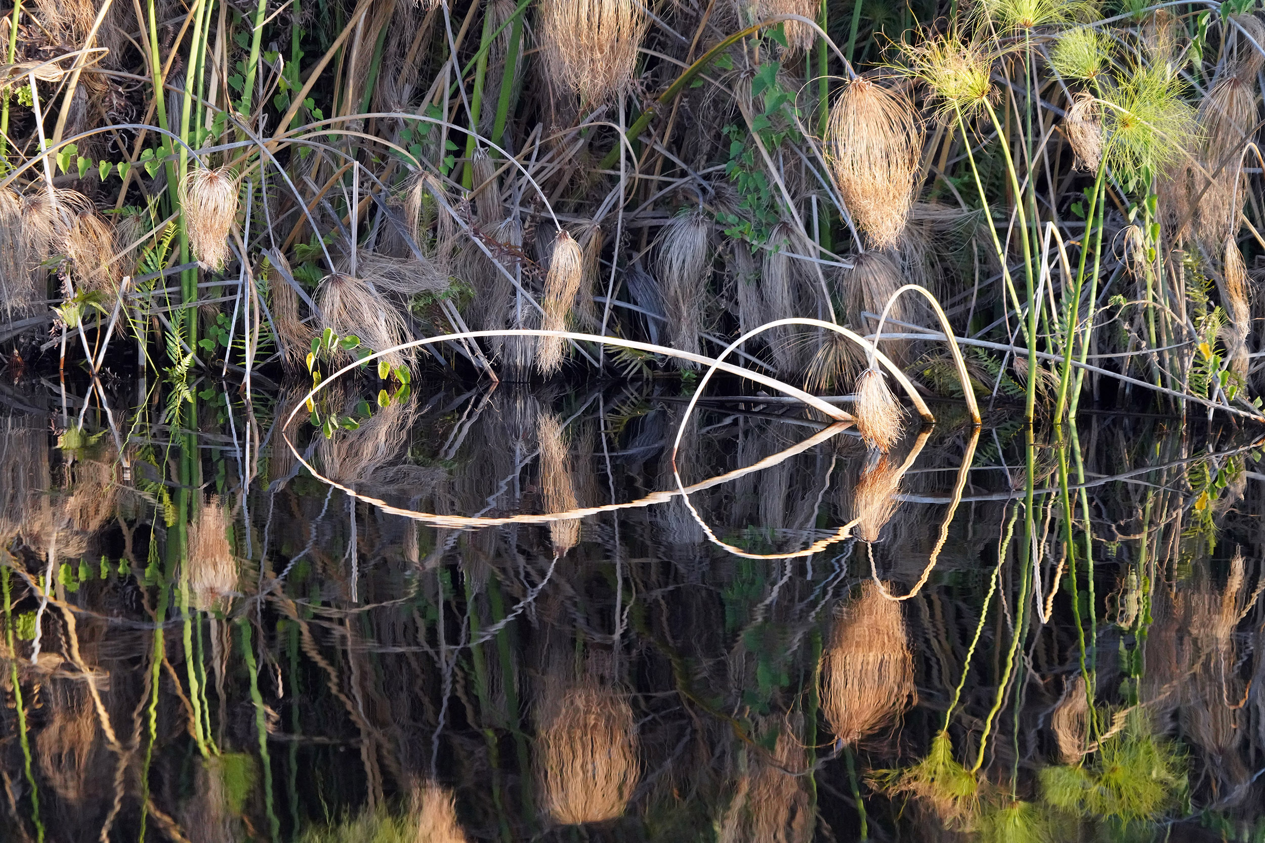 Guma Lagoon - Botswana