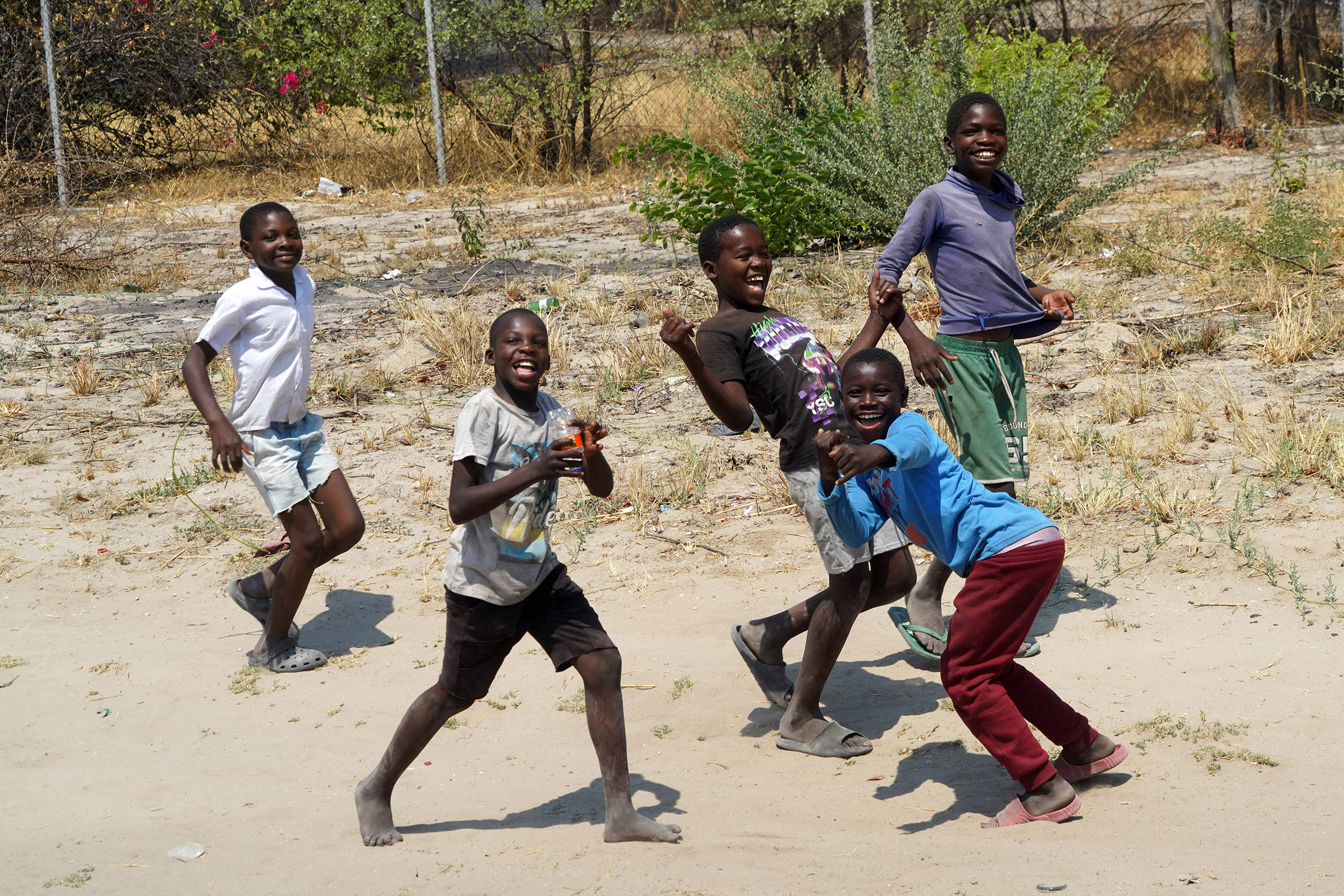 Parc national de Chobe - Botswana