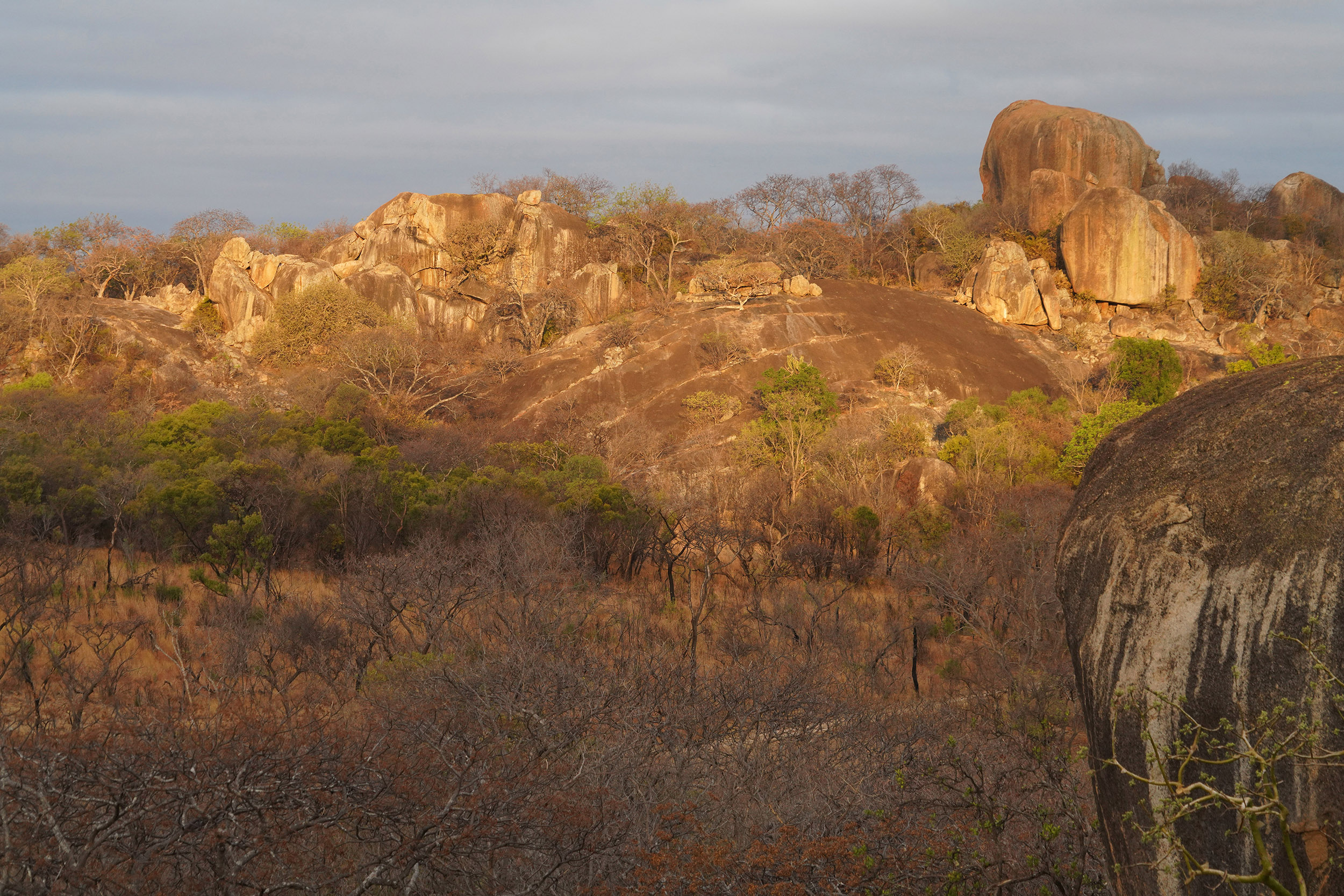Parc national Matobos - Zimbabwe