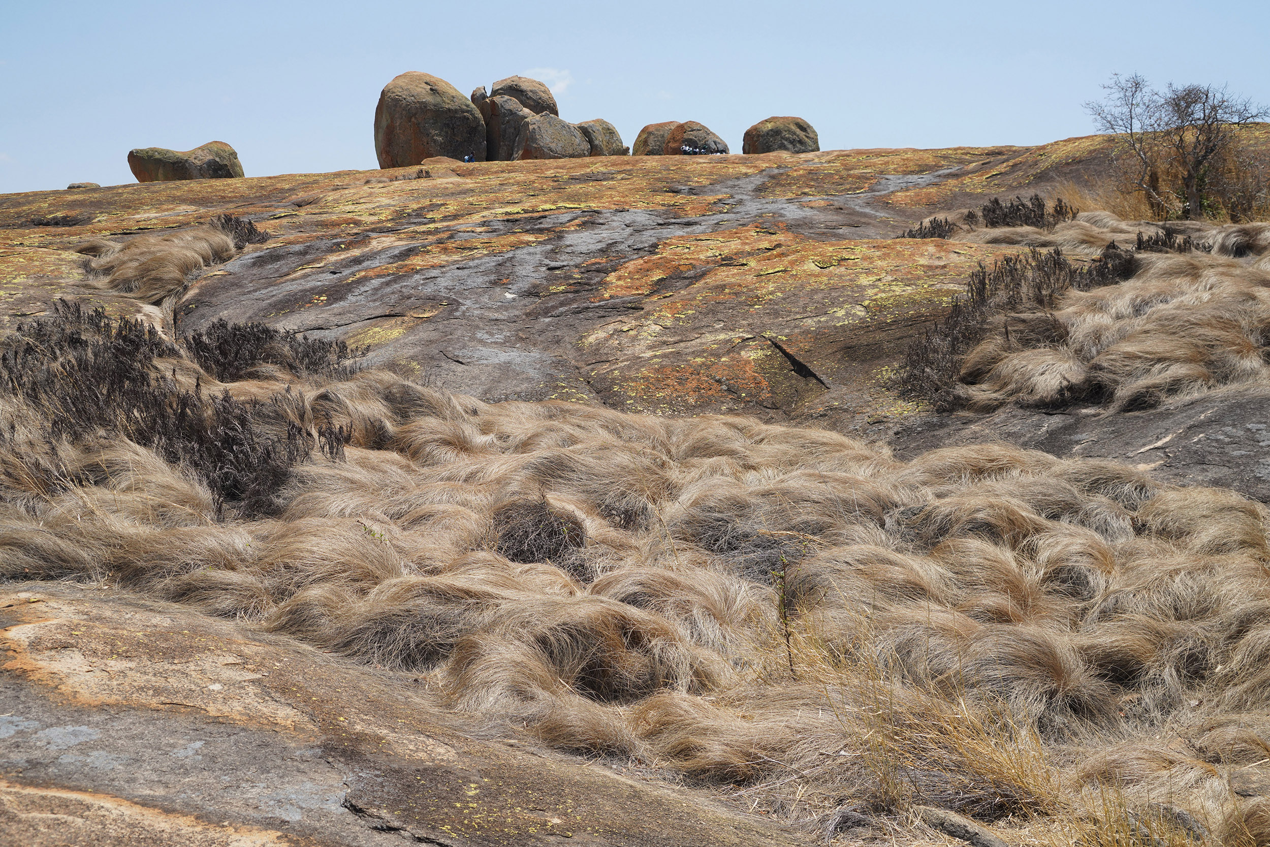 Parc national Matobos - Zimbabwe