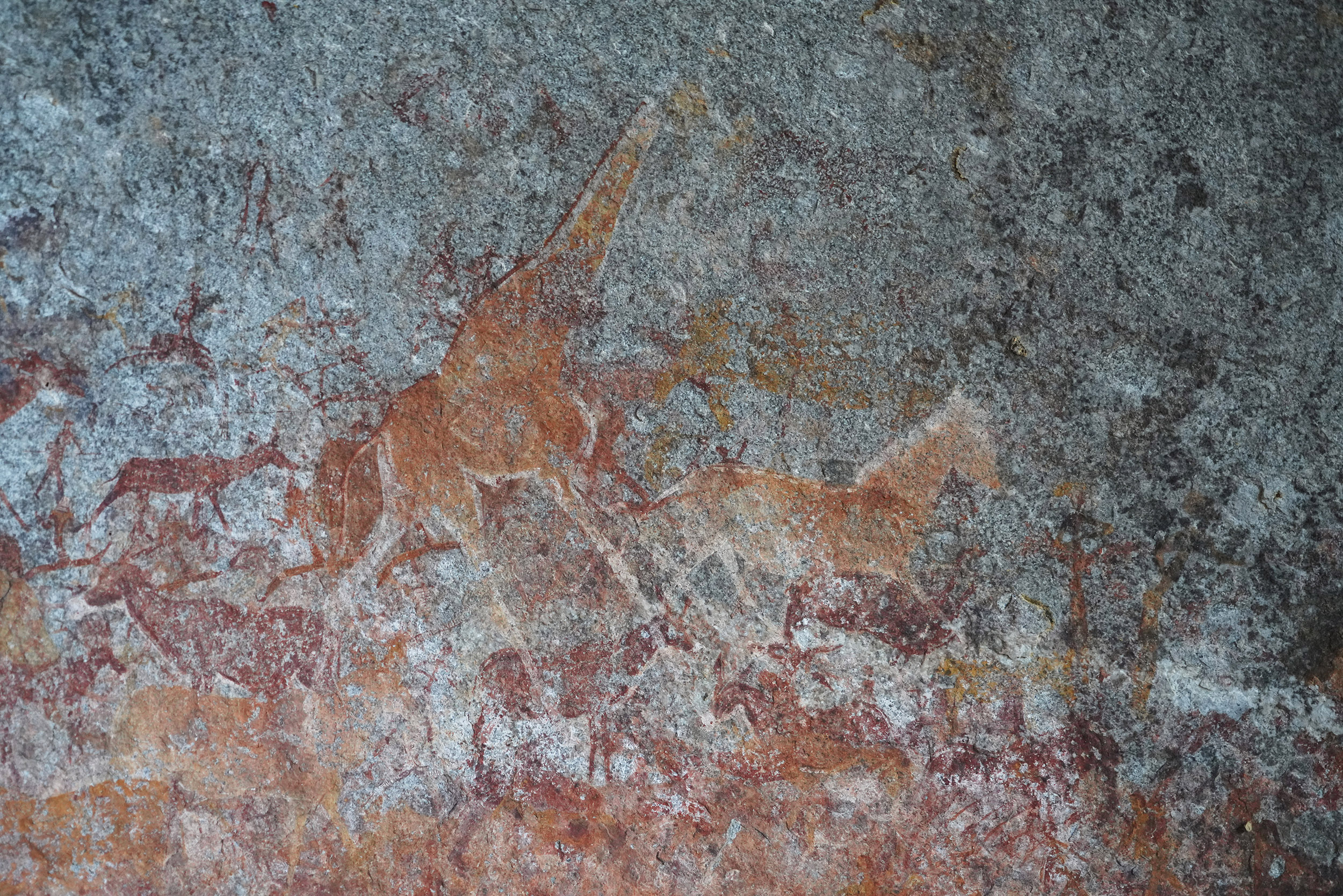 Parc national Matobos - Zimbabwe