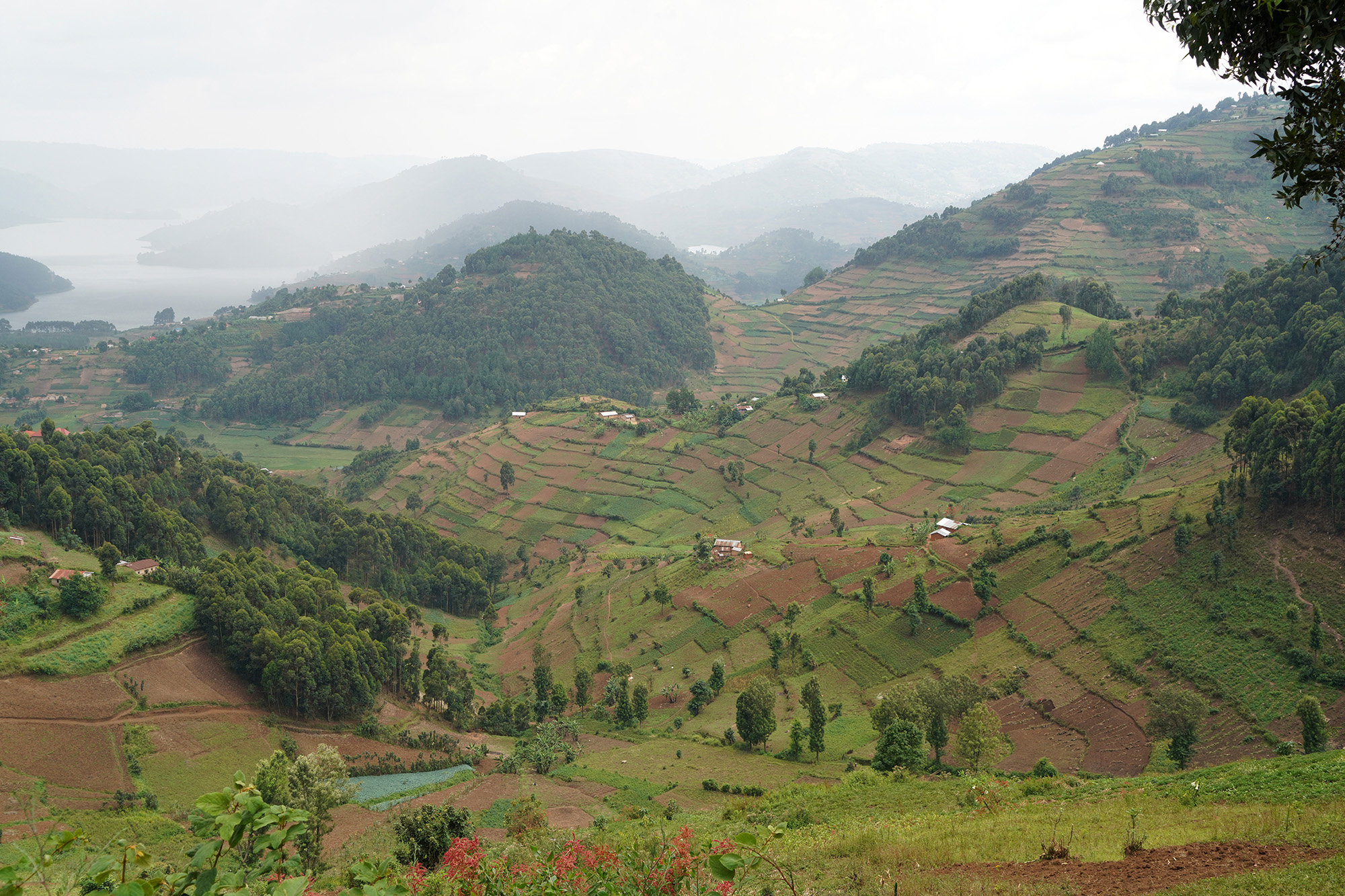 Ouganda - Perle de l'Afrique