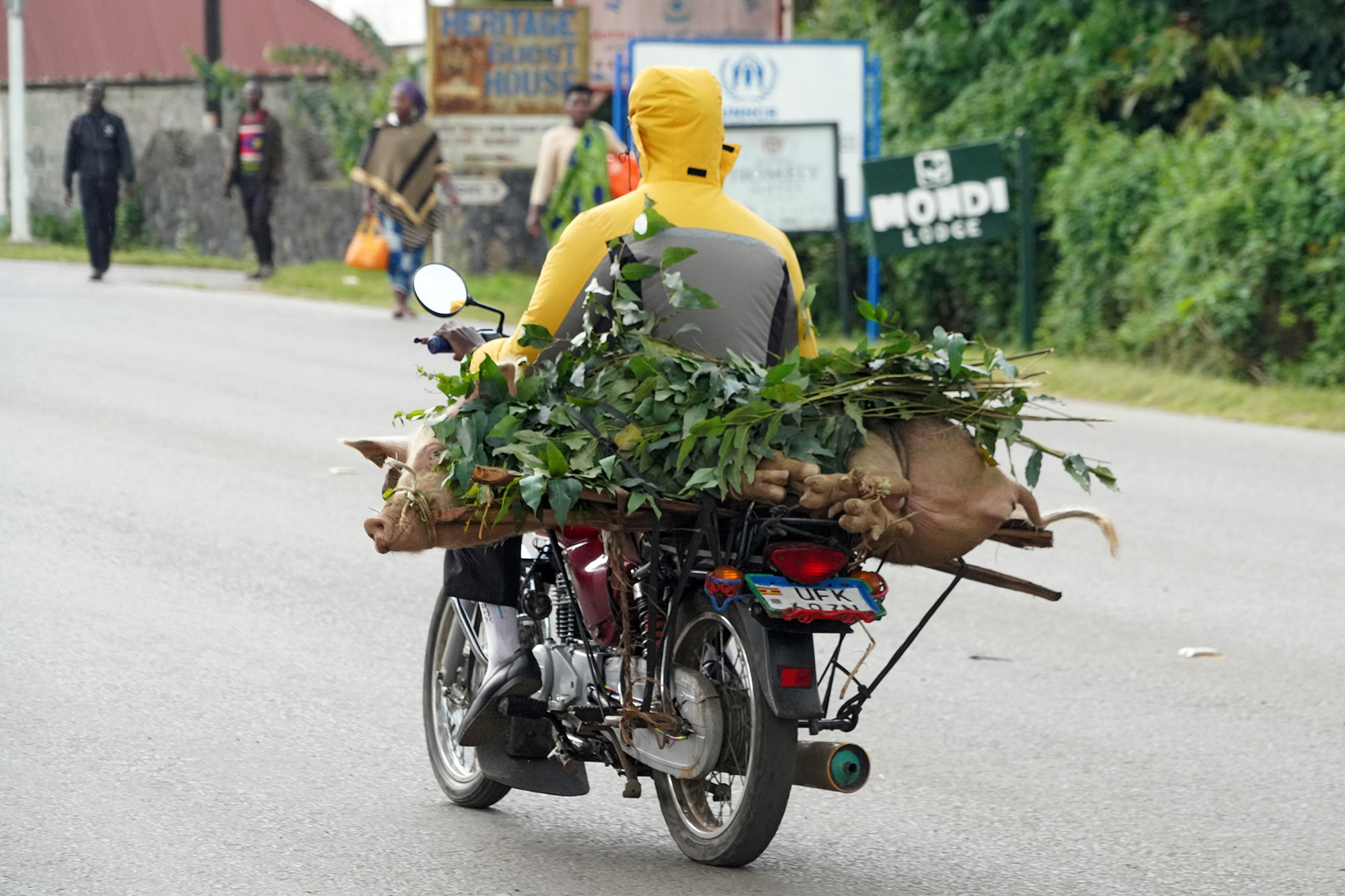 Ouganda - Perle de l'Afrique