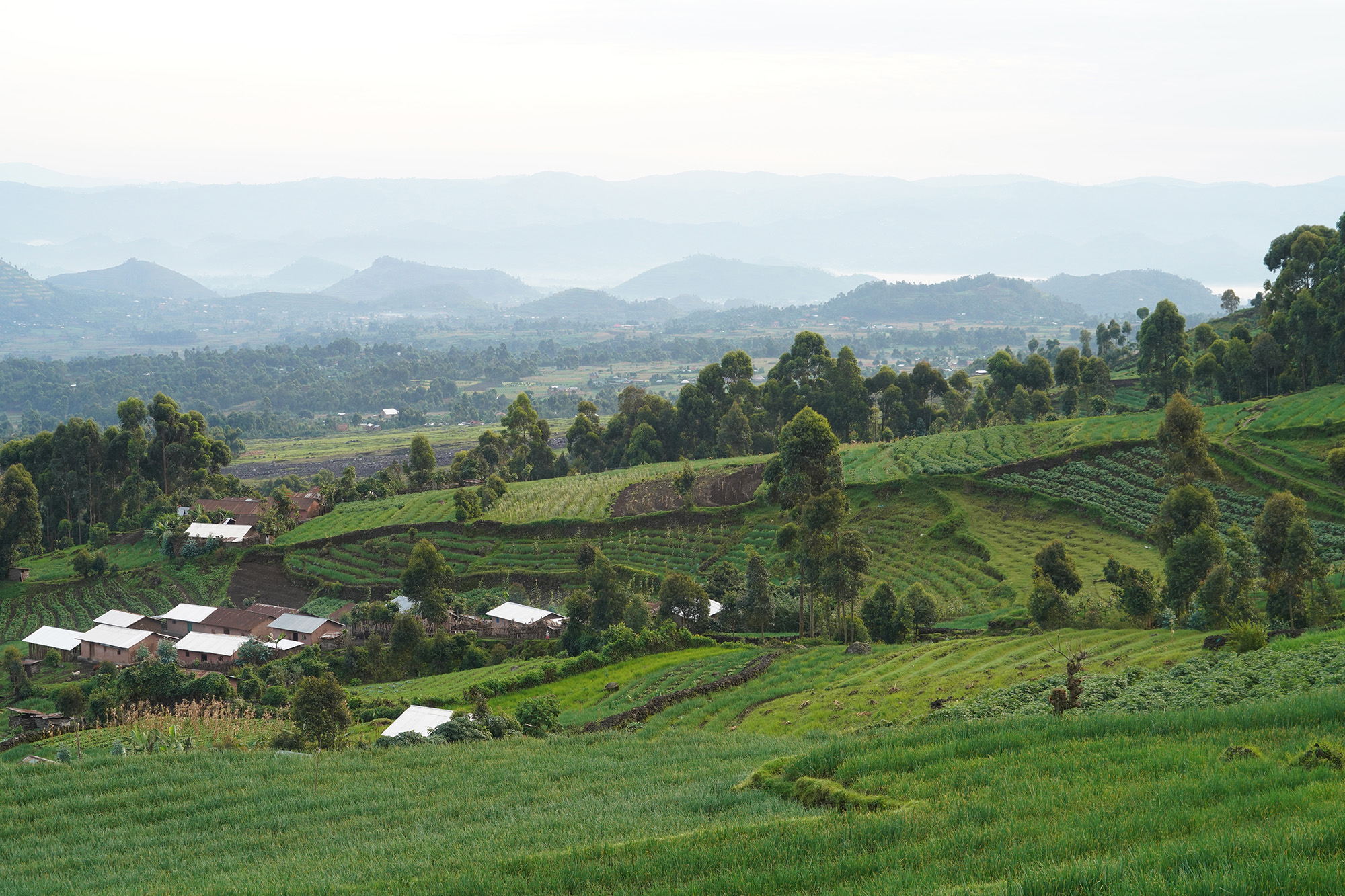 Ouganda - Perle de l'Afrique