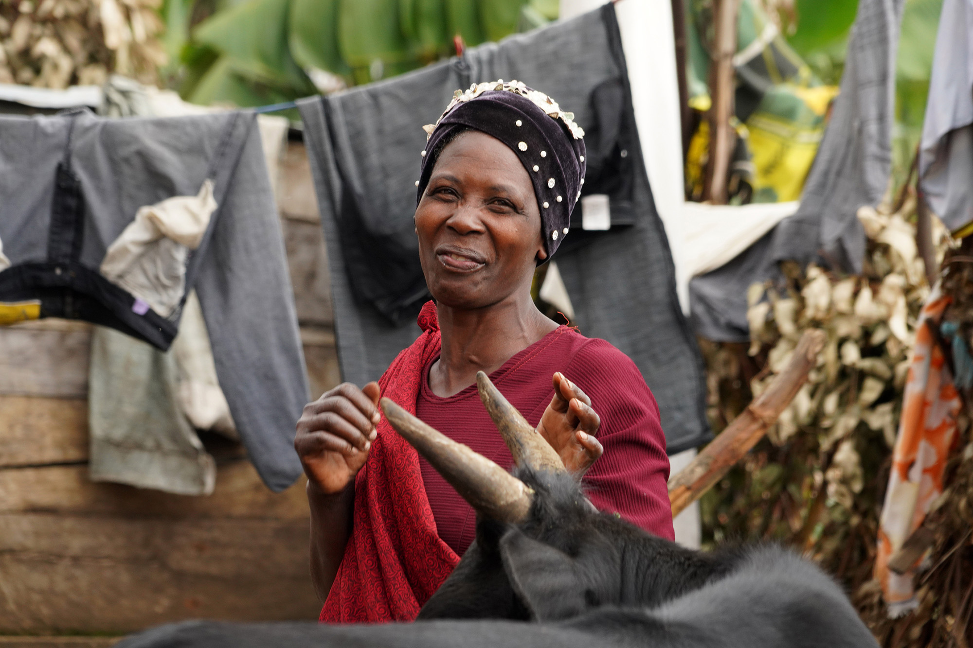 Ouganda - Perle de l'Afrique