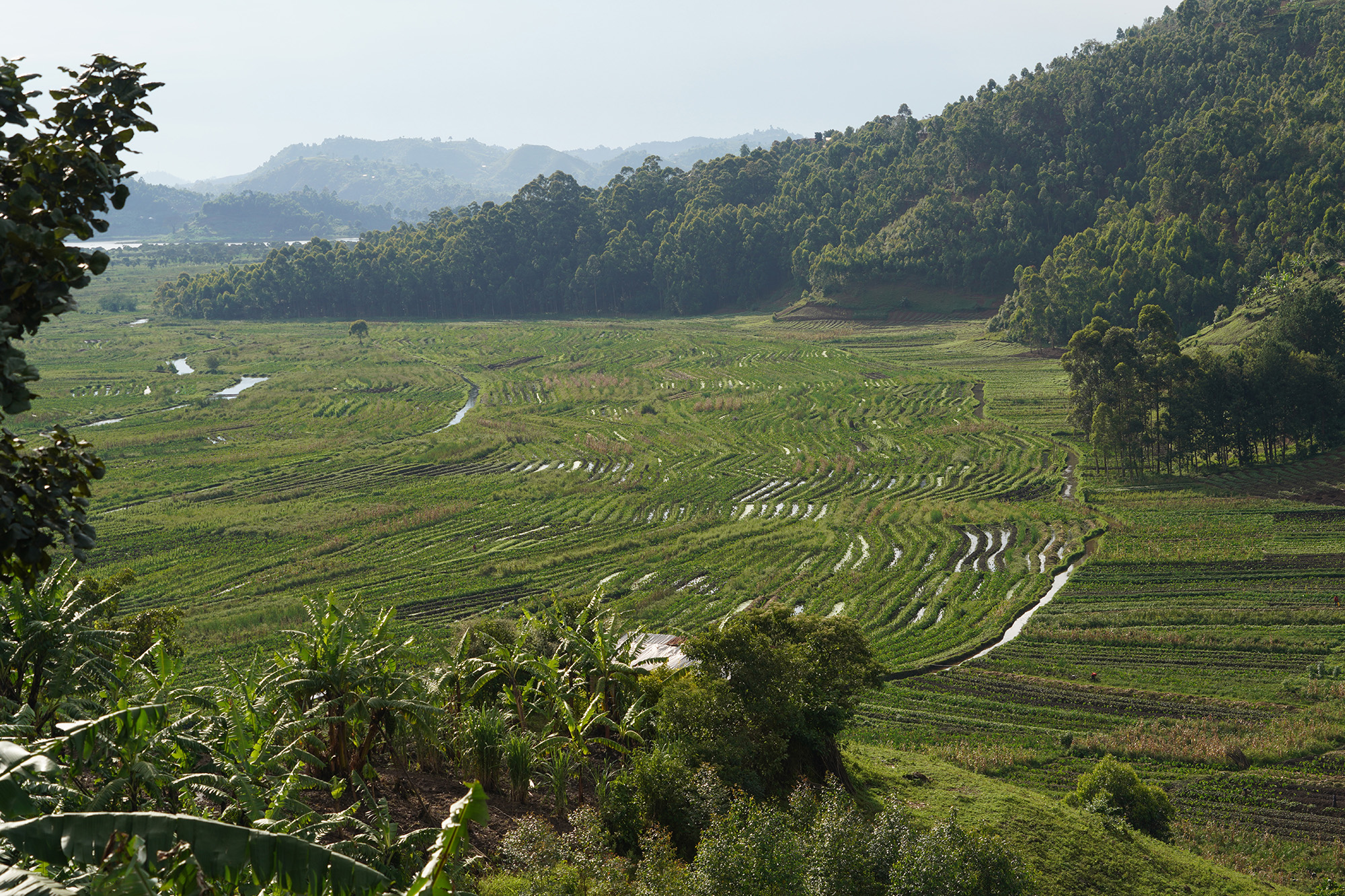 Ouganda - Perle de l'Afrique