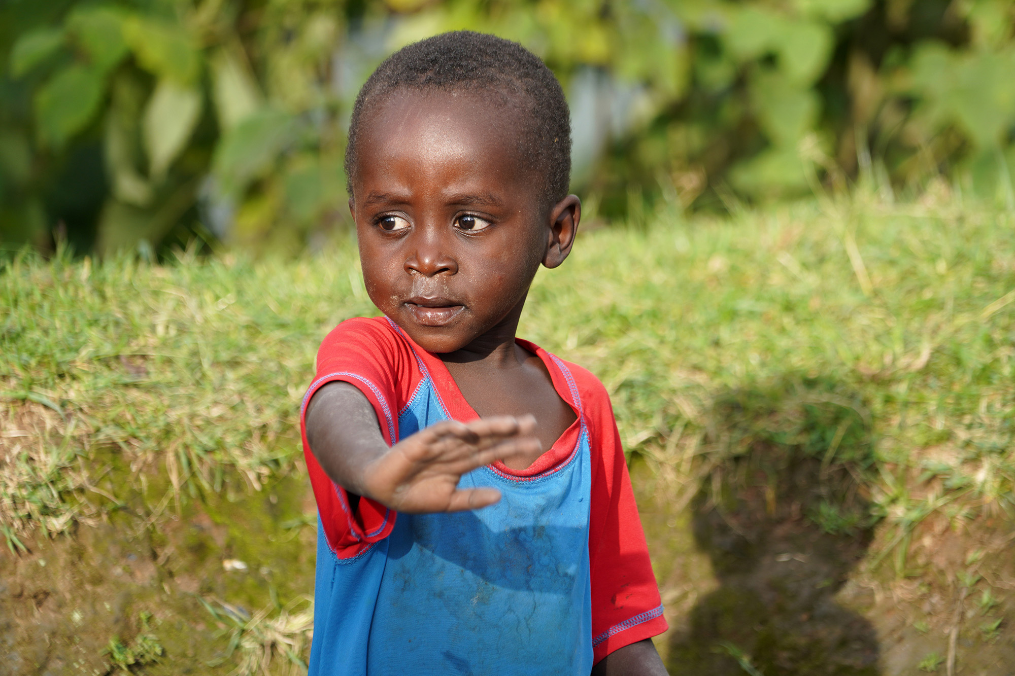 Ouganda - Perle de l'Afrique