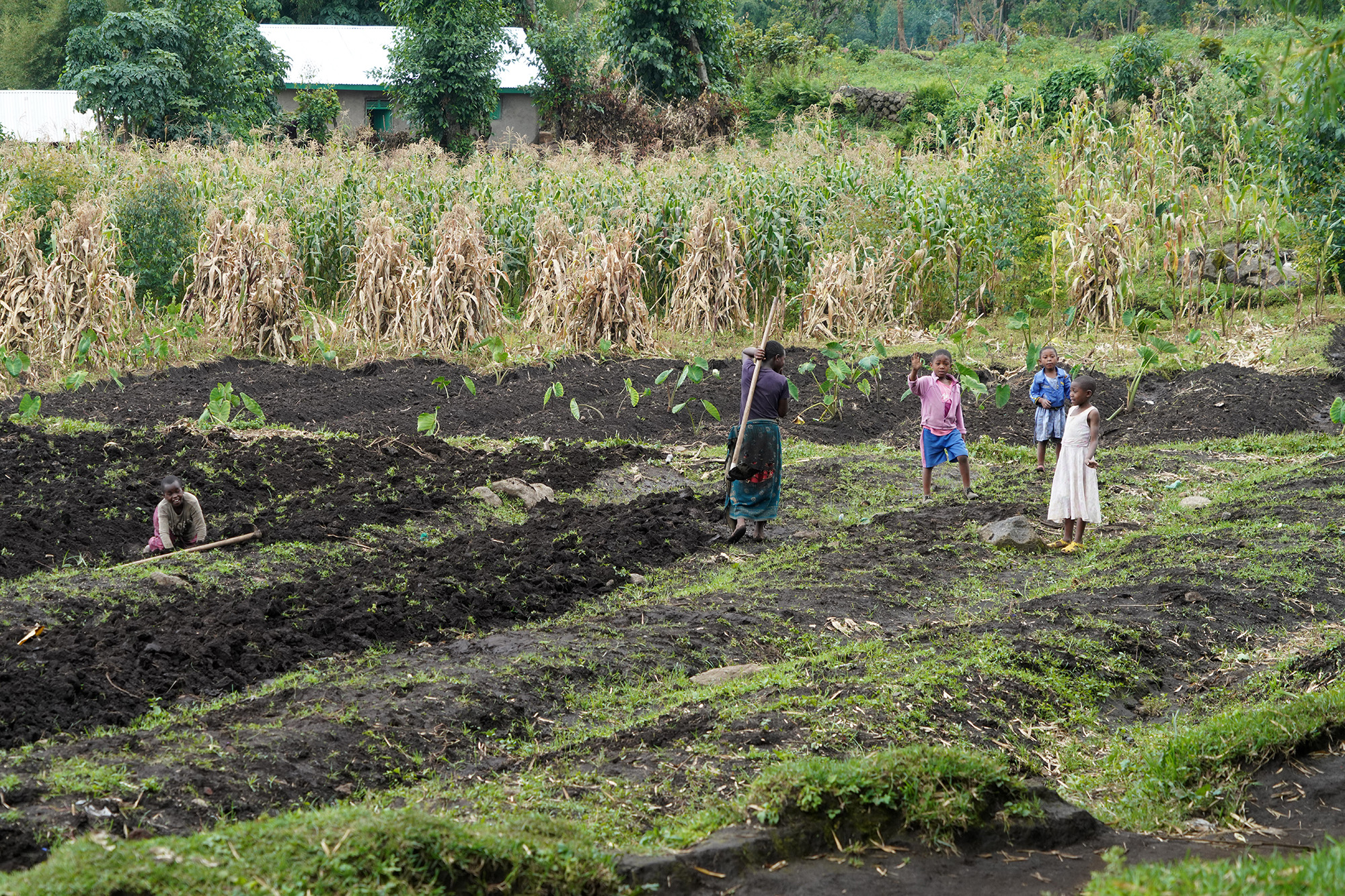 Ouganda - Perle de l'Afrique
