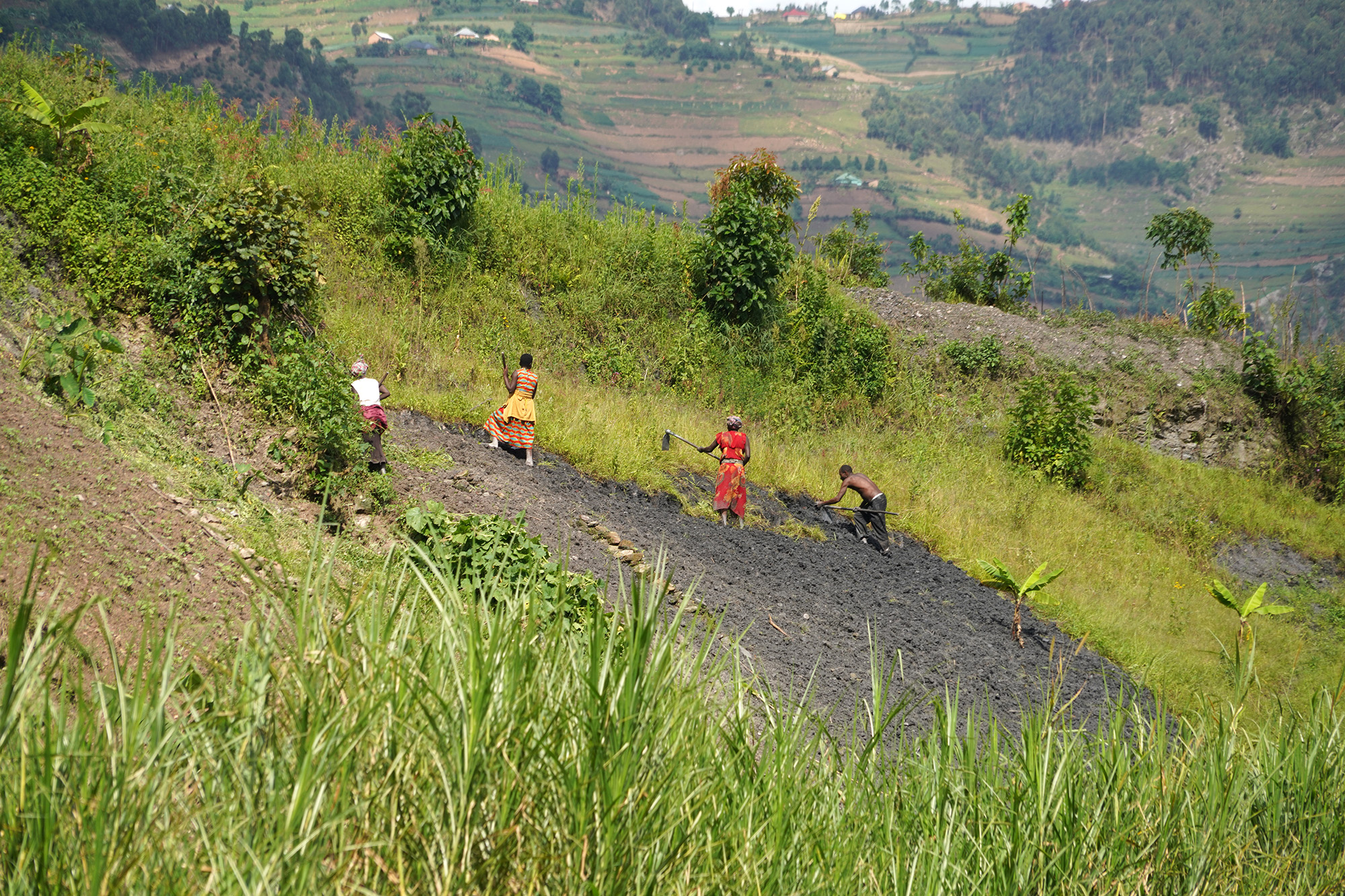 Ouganda - Perle de l'Afrique