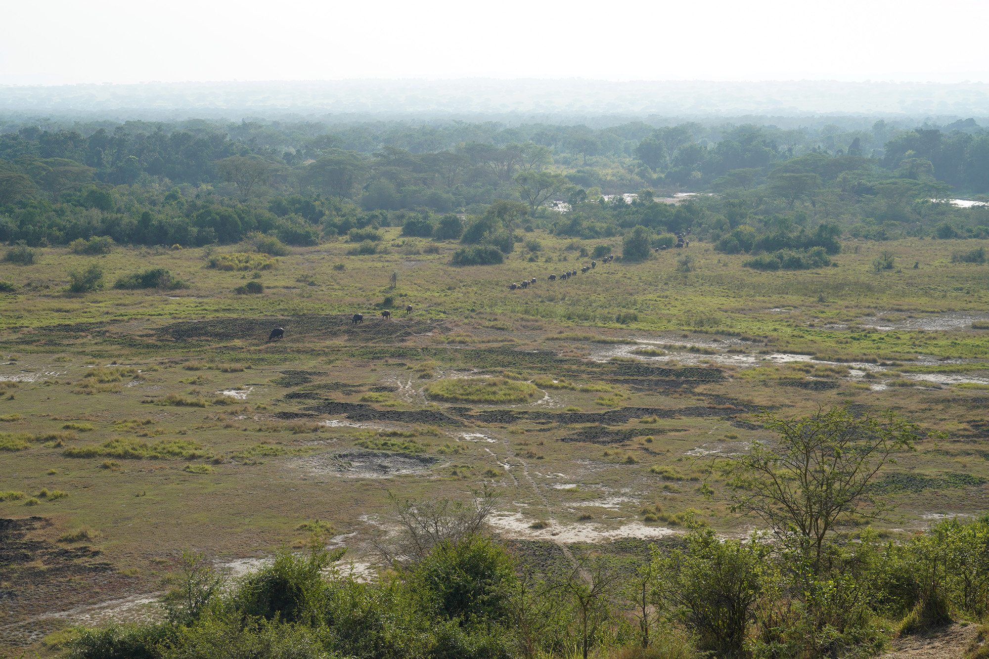 Ouganda - Perle de l'Afrique