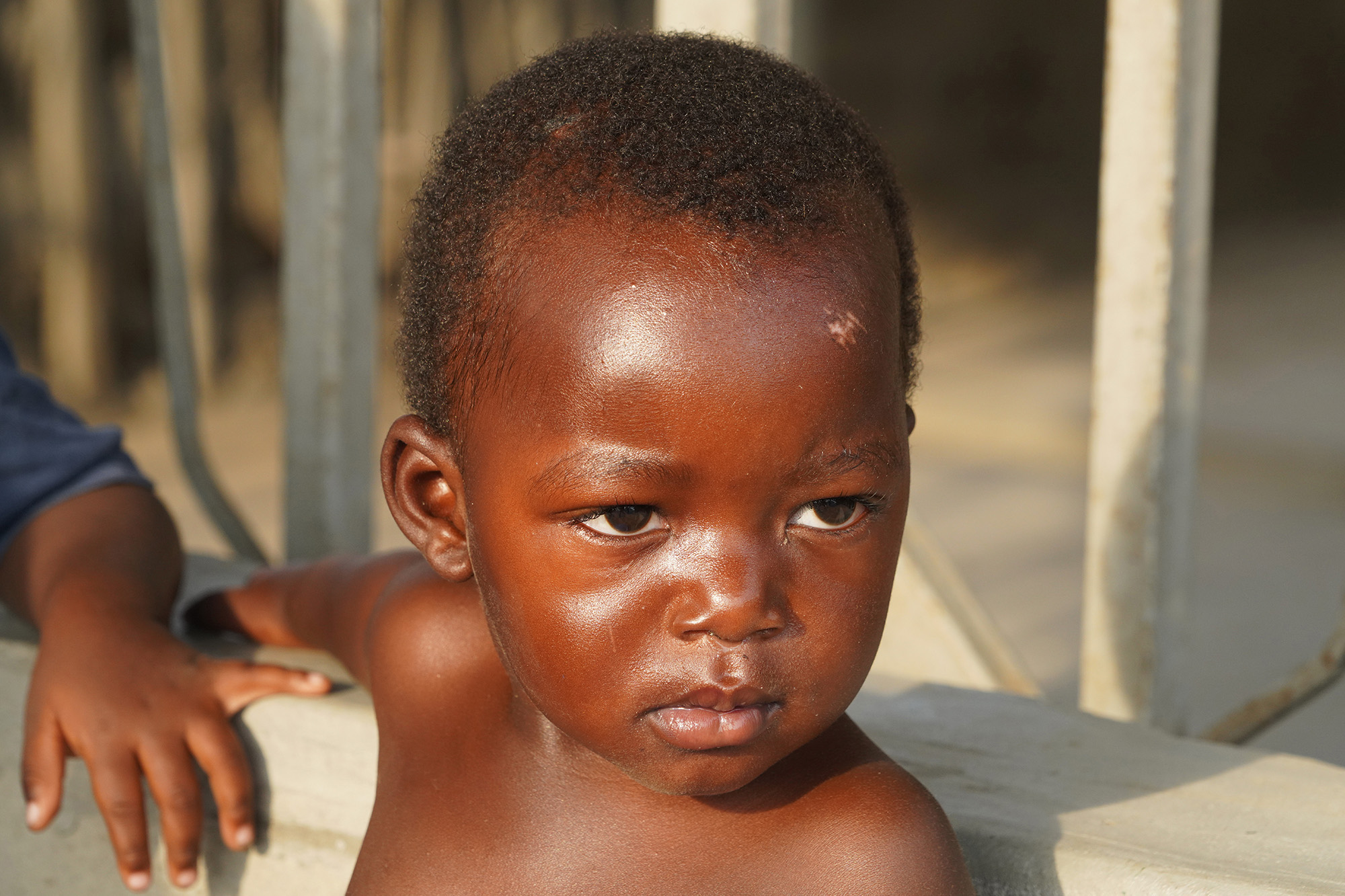 Ouganda - Perle de l'Afrique