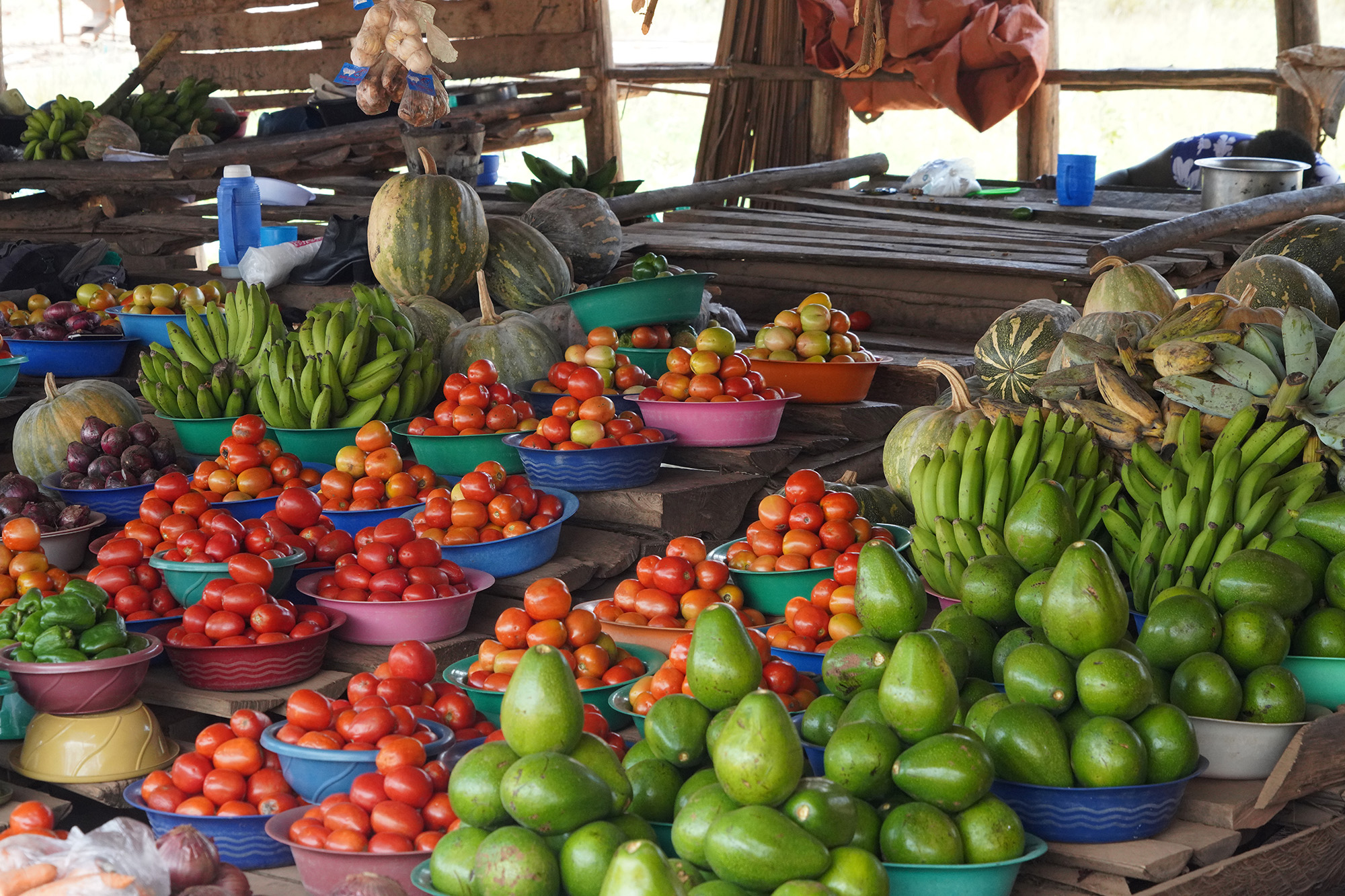 Ouganda - Perle de l'Afrique