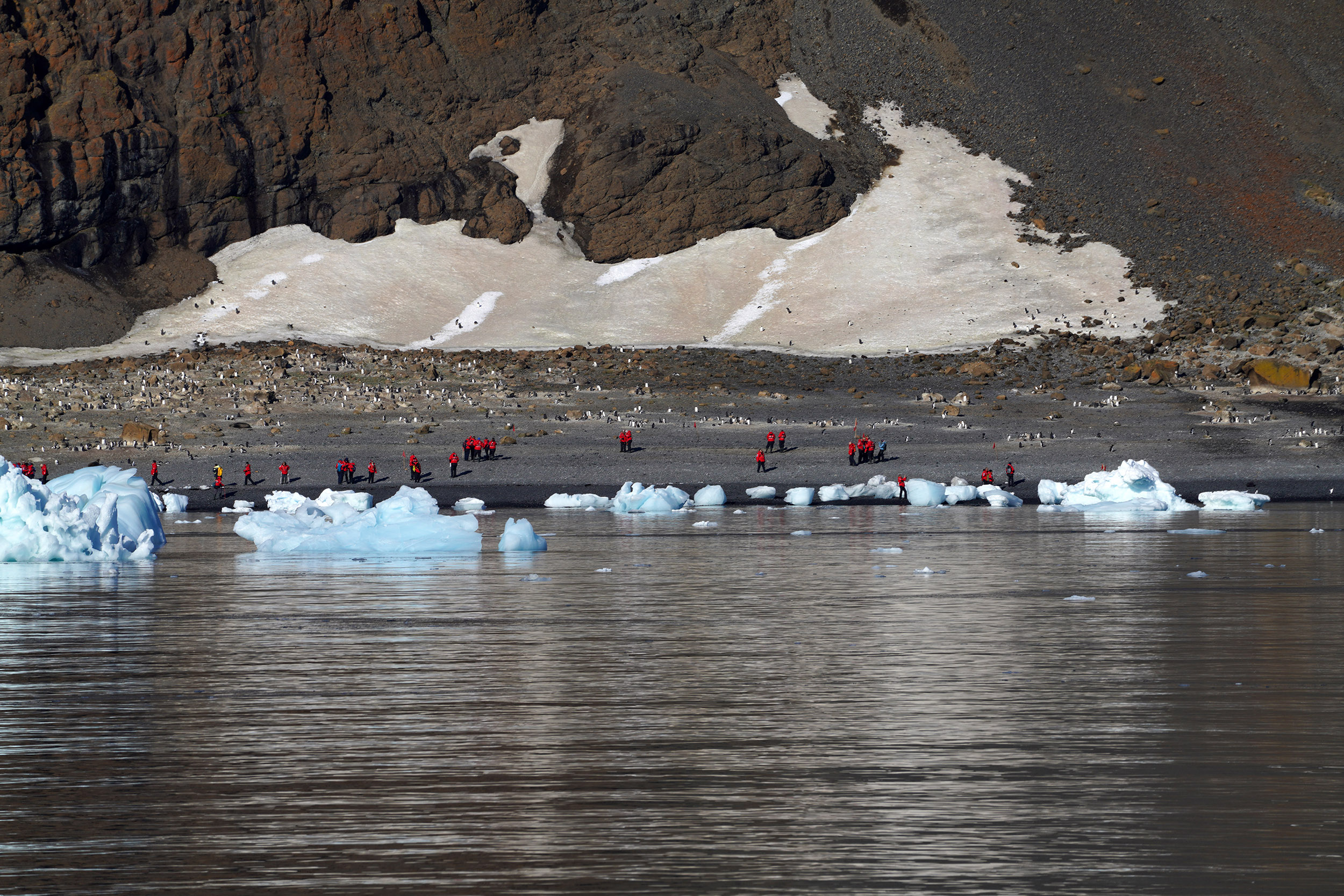 Débarquement sur Brown Bluff