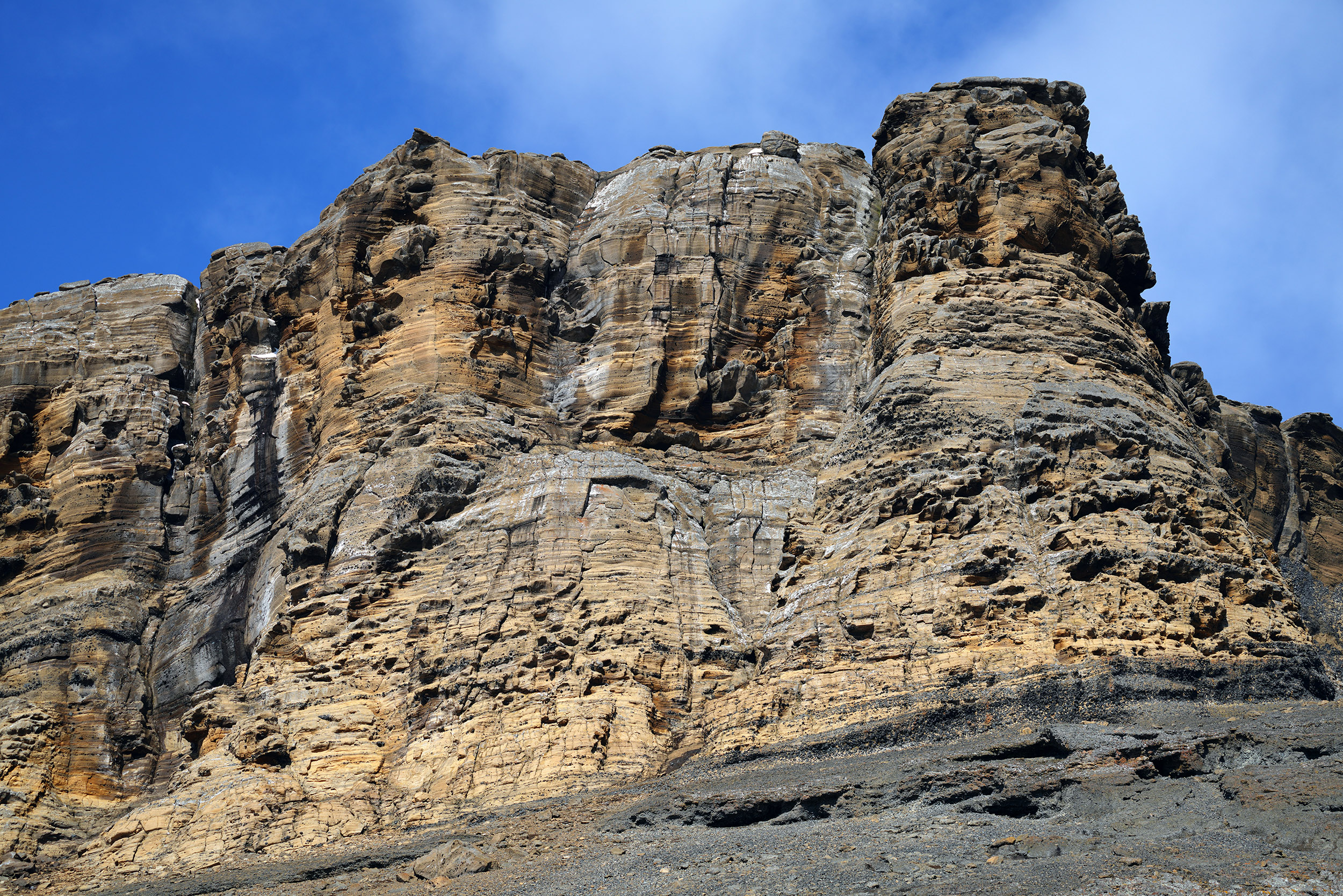 Falaises ocres volcanique de l'ile Brown Bluff