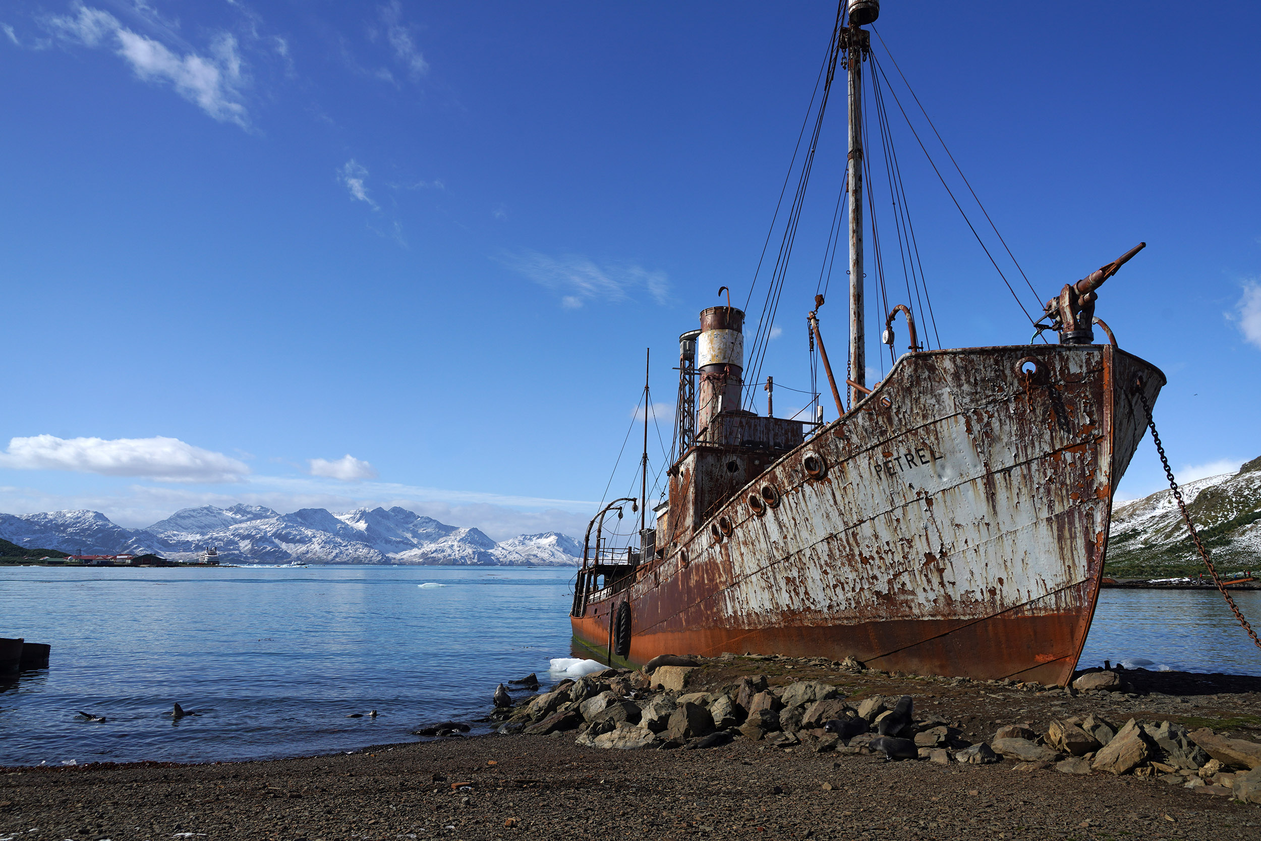 Le Petrel, ancien baleinier de 35 m de long, échoué à Grytviken
