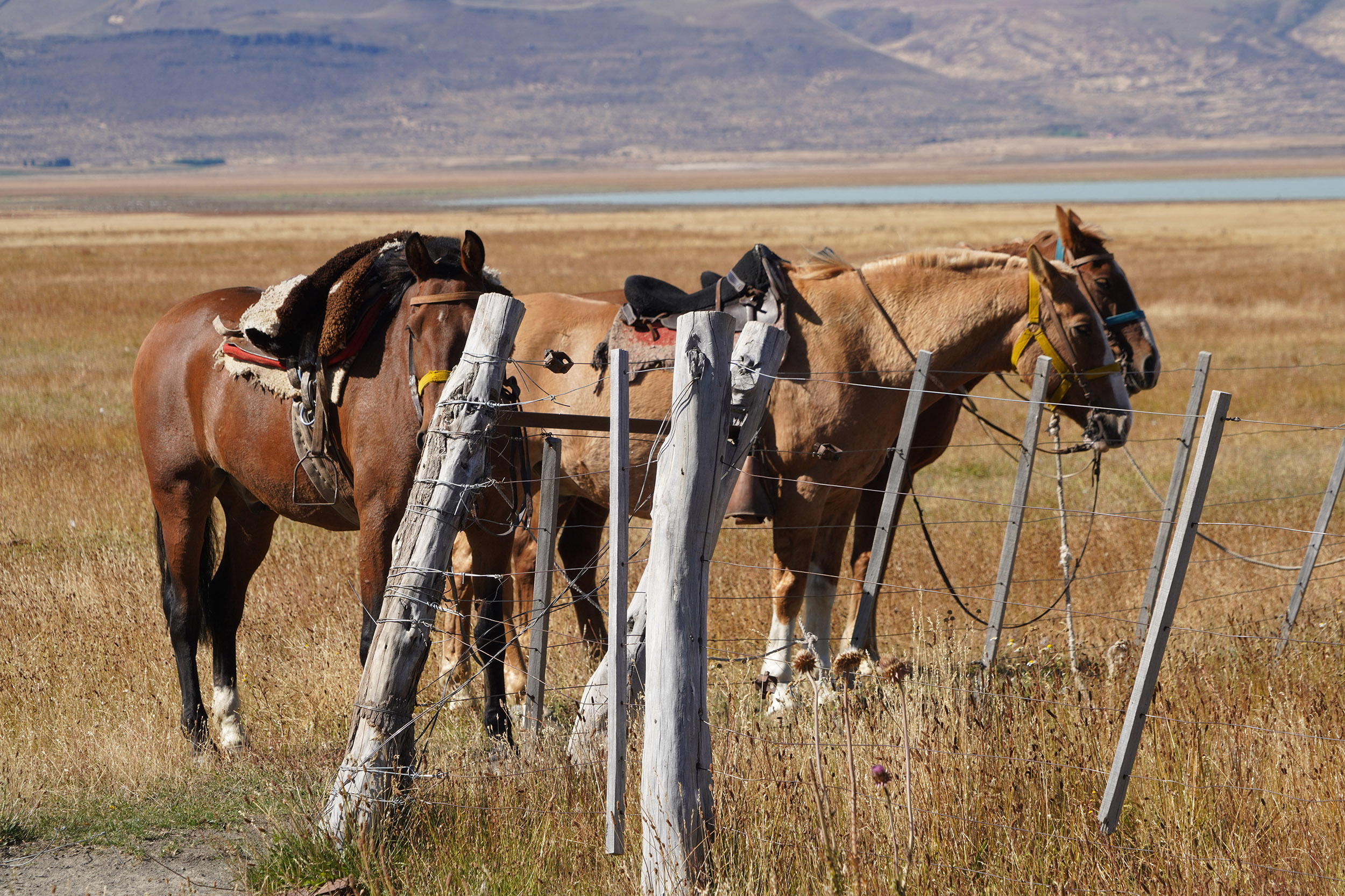 Estancia Rio Mitre
