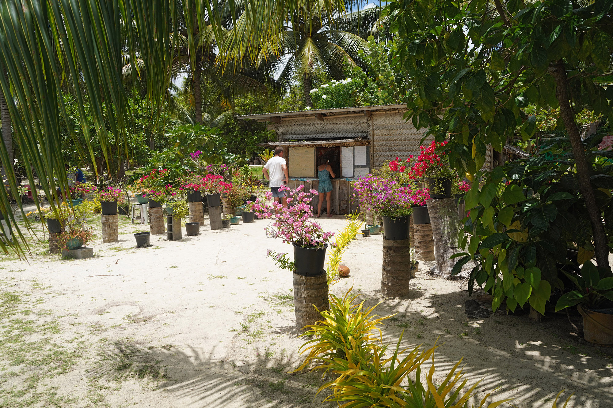 Chez Mimi, paillote sur la plage de Tereia - Ile de Maupiti