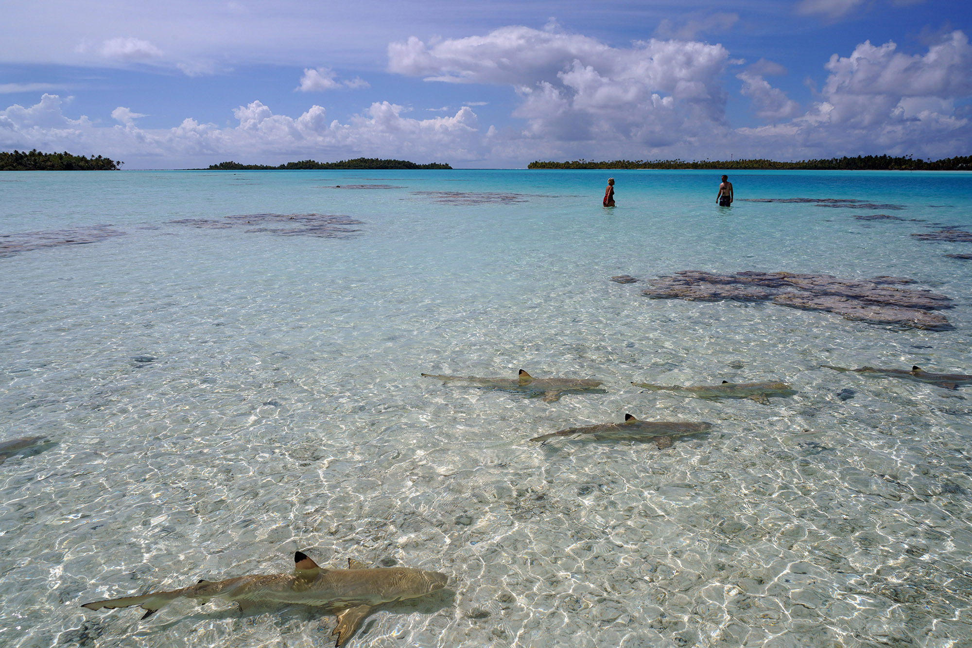 Le lagon bleu - Atoll de Rangiroa