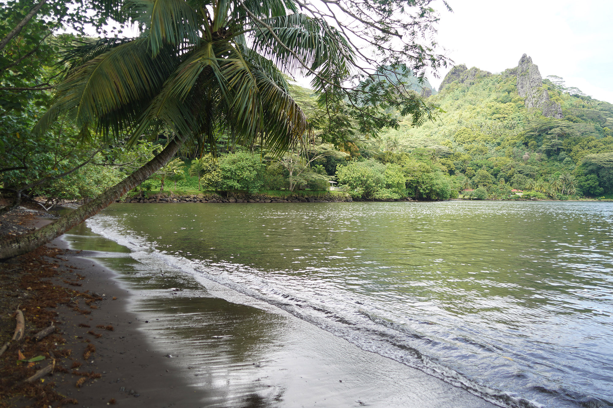 Rivages de la baie d'Opunohu - Ile de Moorea