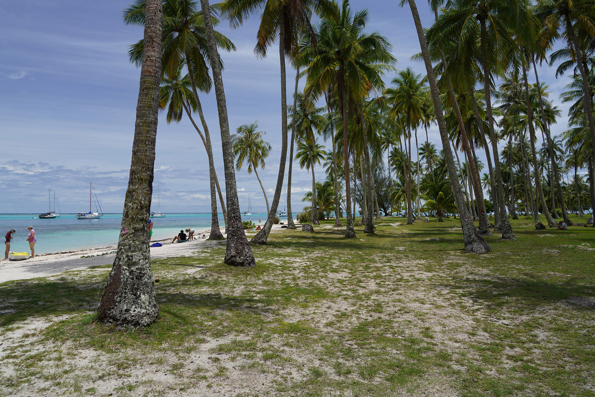 Plage de Painapo - Ile de Moorea