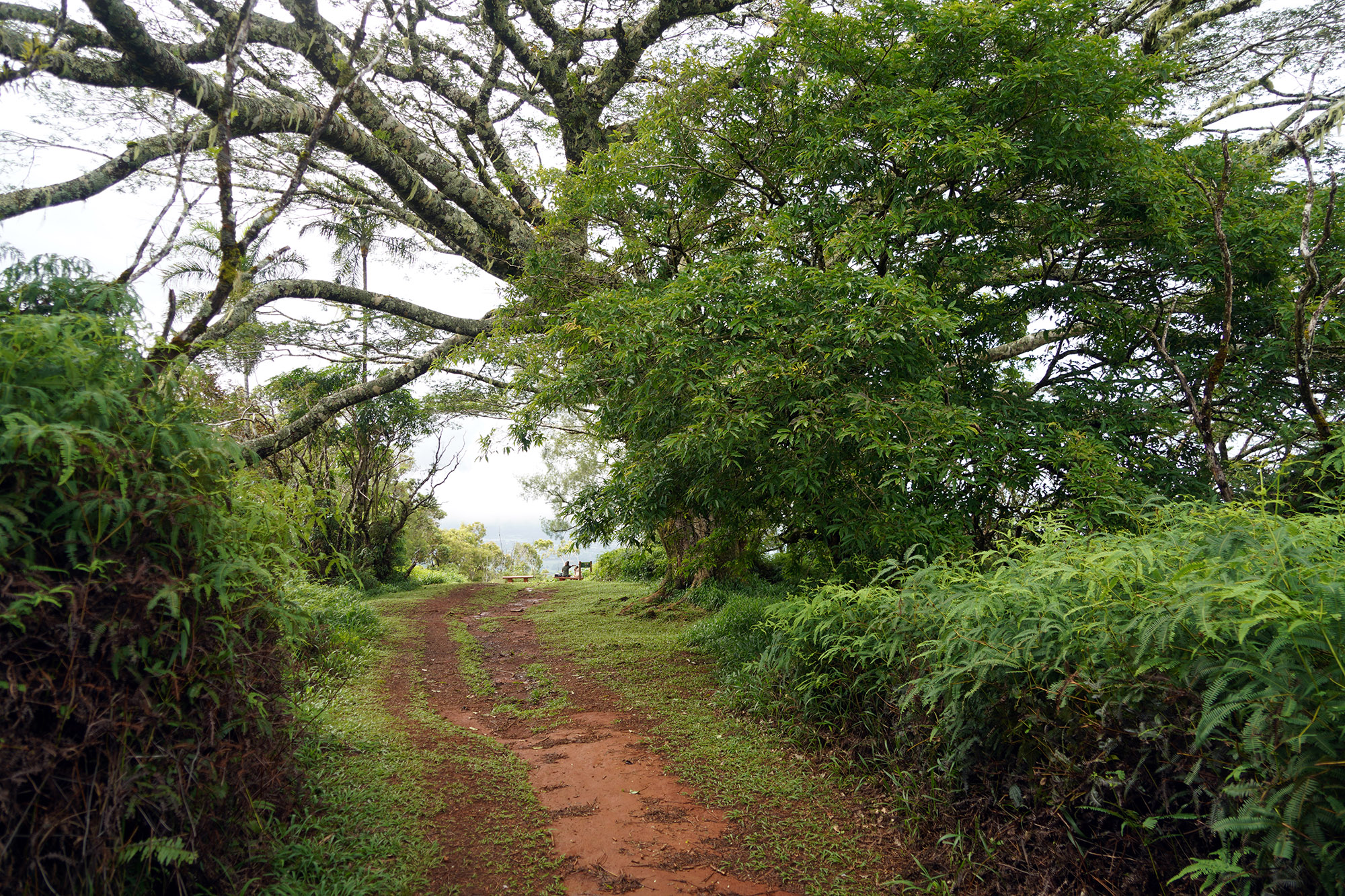 Plateau de Taravao - Ile de Tahiti