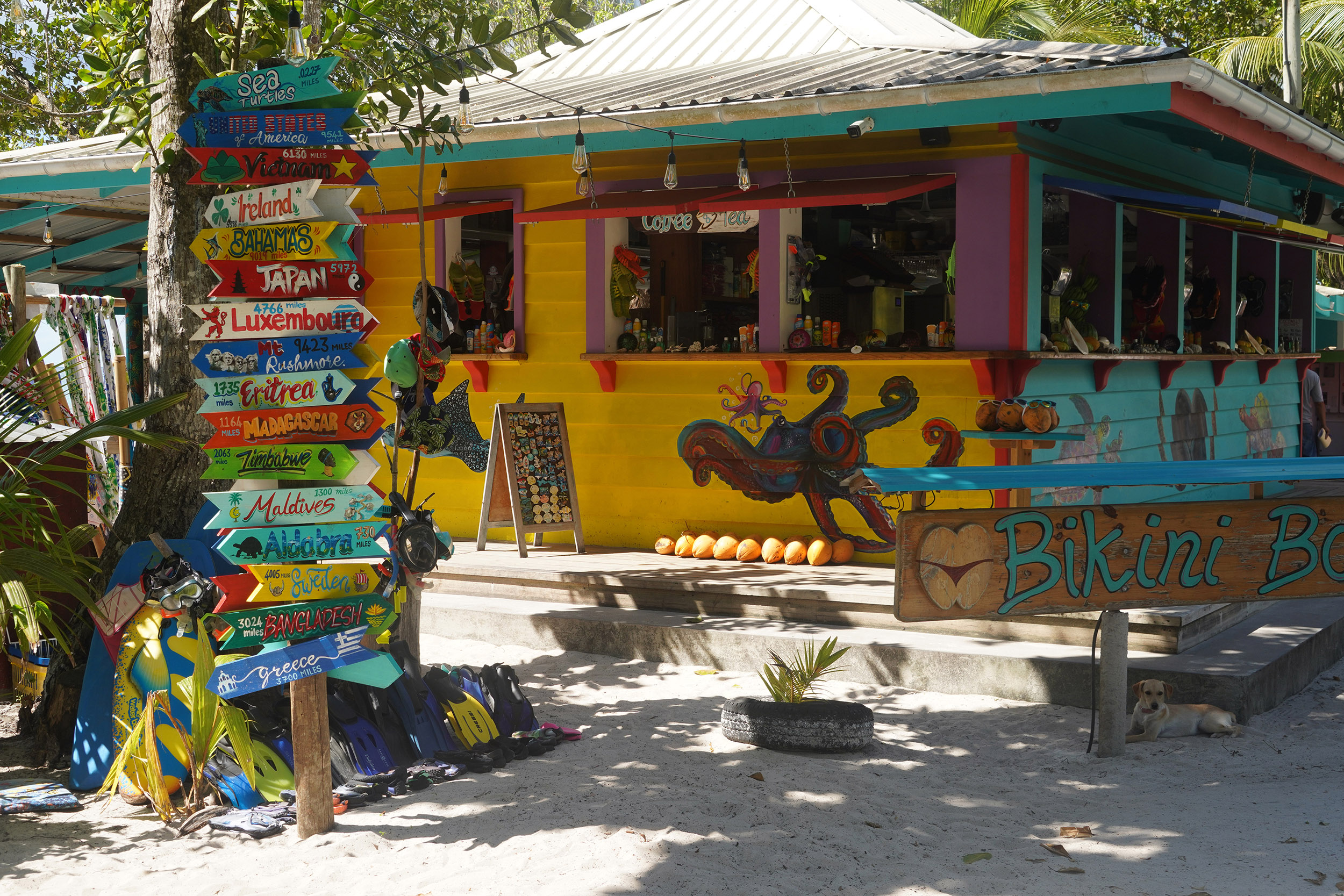 Sur l'ile de La Digue aux Seychelles