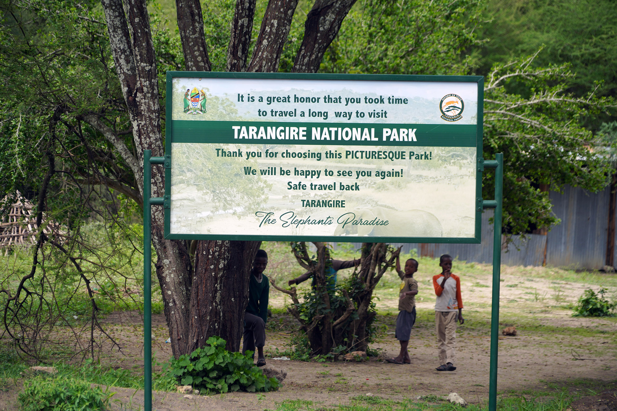 Bienvenue au parc Tarangire