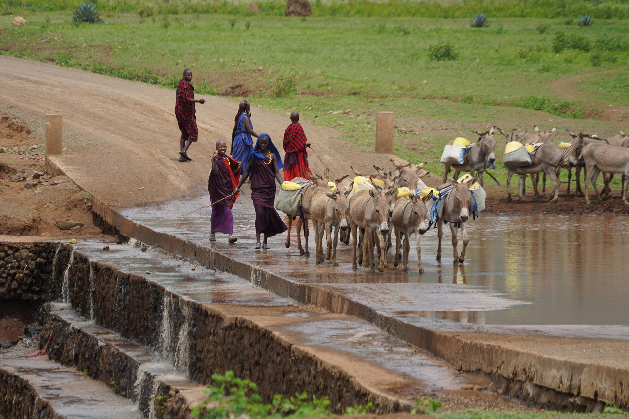 Entre Karatu et le lac Natron