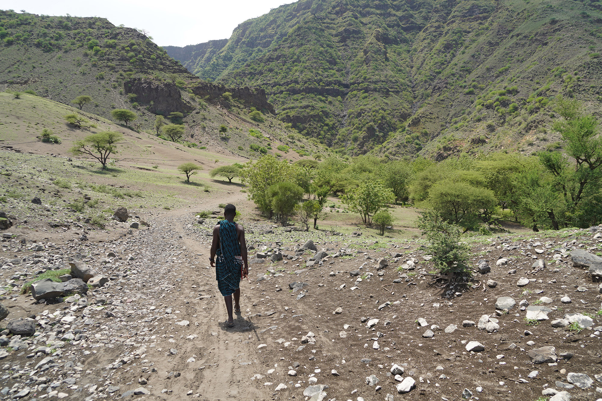 Vers les cascades Ngare Sero  près du lac Natron