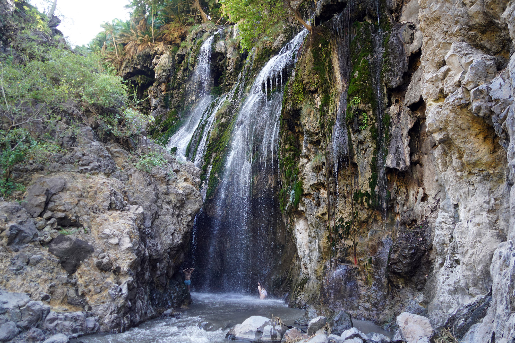Vers les cascades Ngare Sero  près du lac Natron