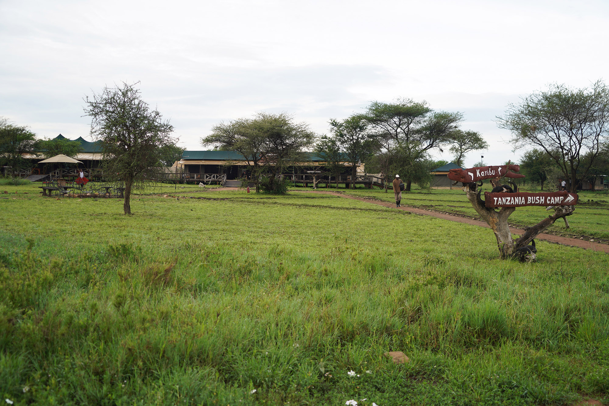 Arrivée au Serengeti Bush Camp pour trois jours