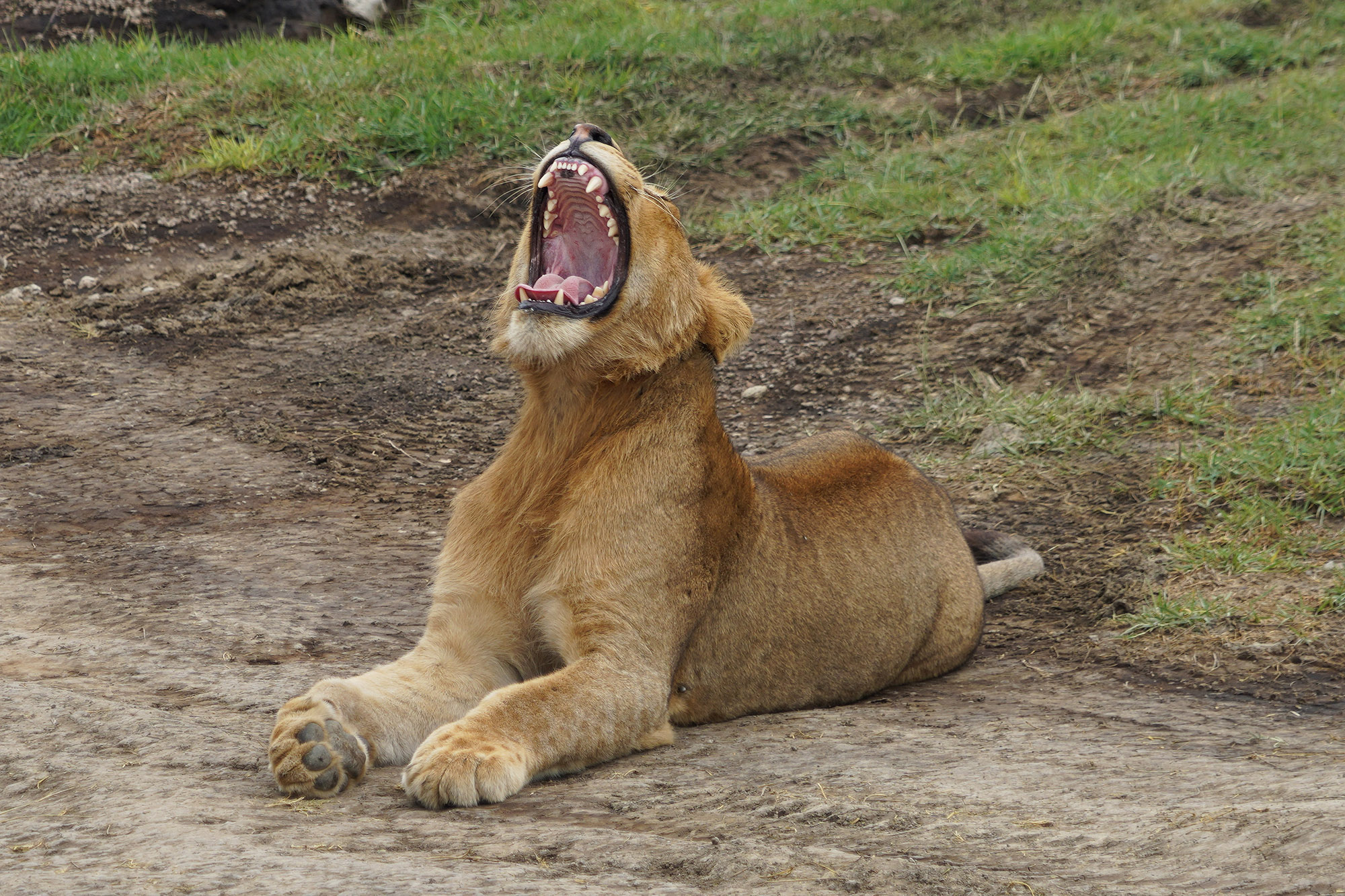 Que la vie est dure !