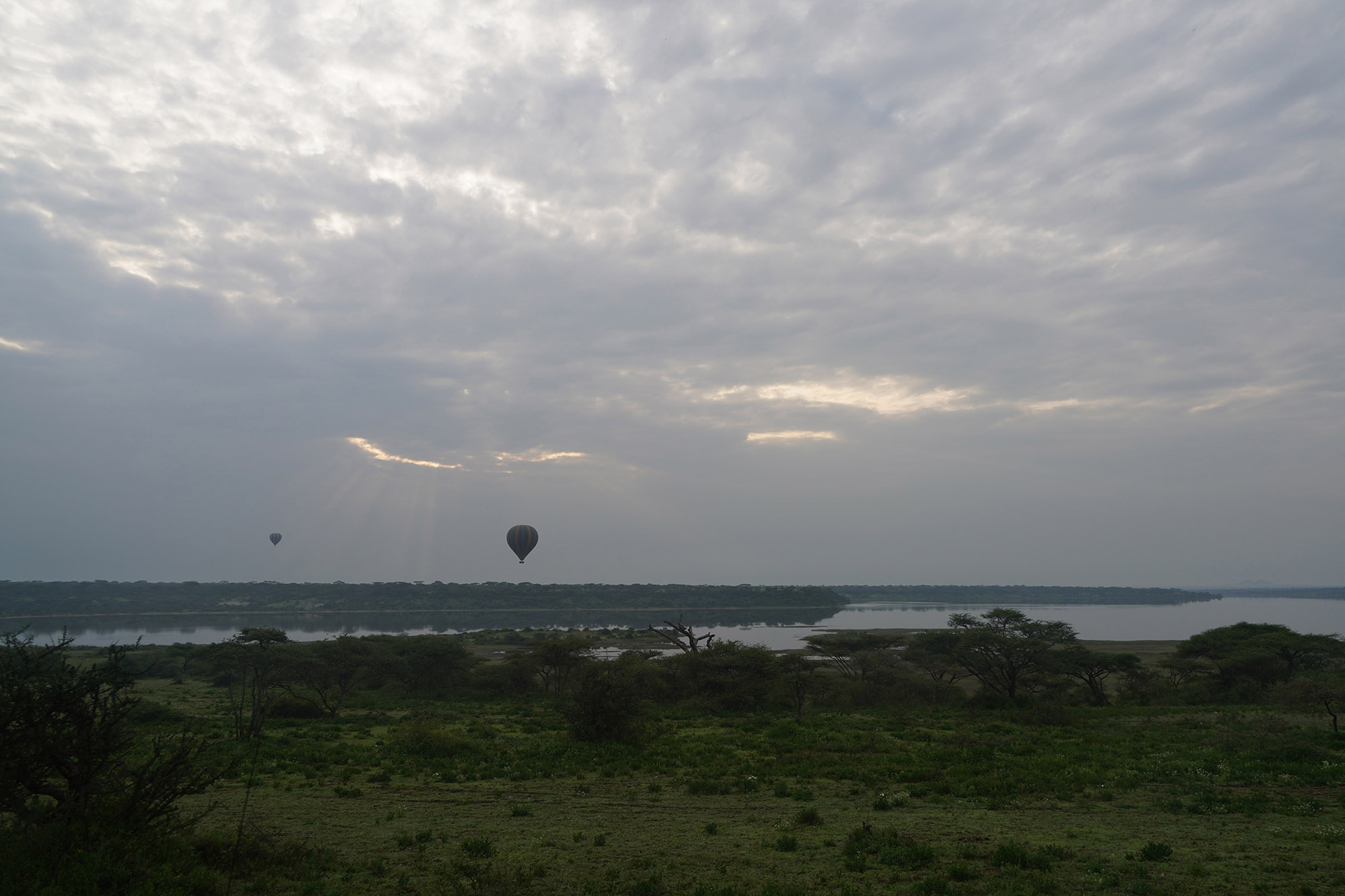 Vol de Montgolfière au dessus du parc