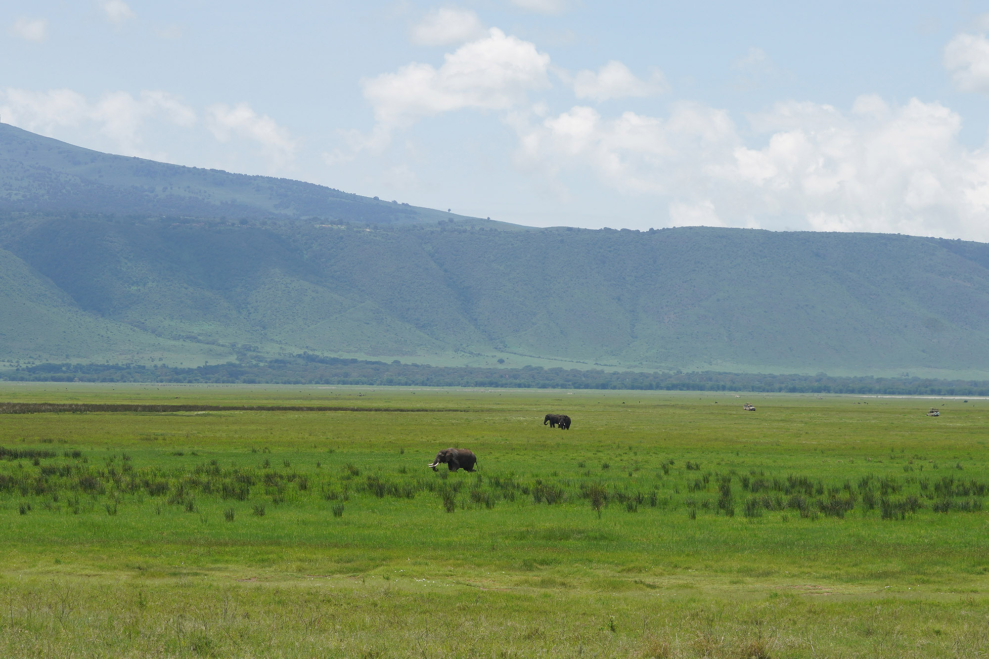 Vaste plaine du Ngorongoro