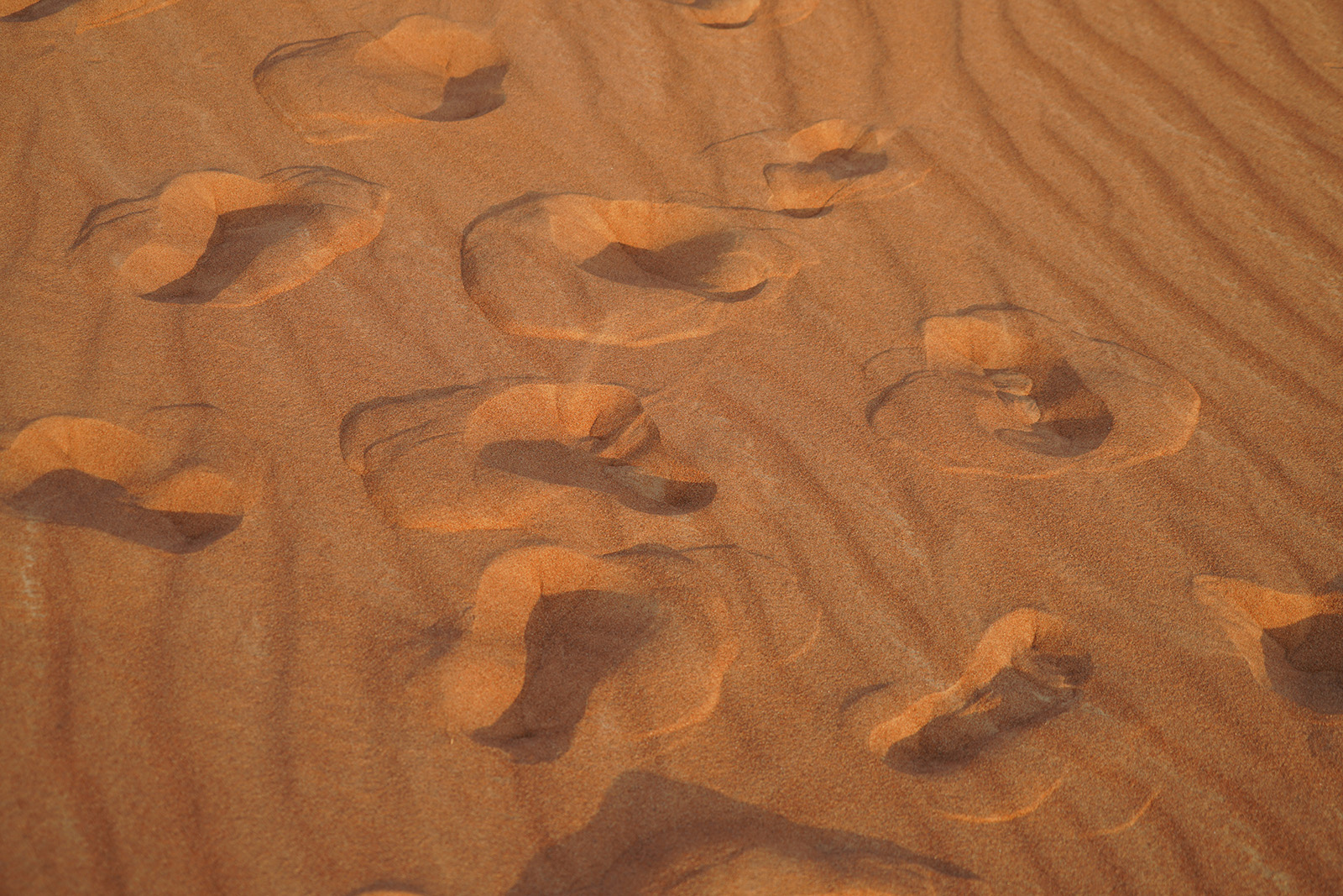 Big Red Dune de Dubaï