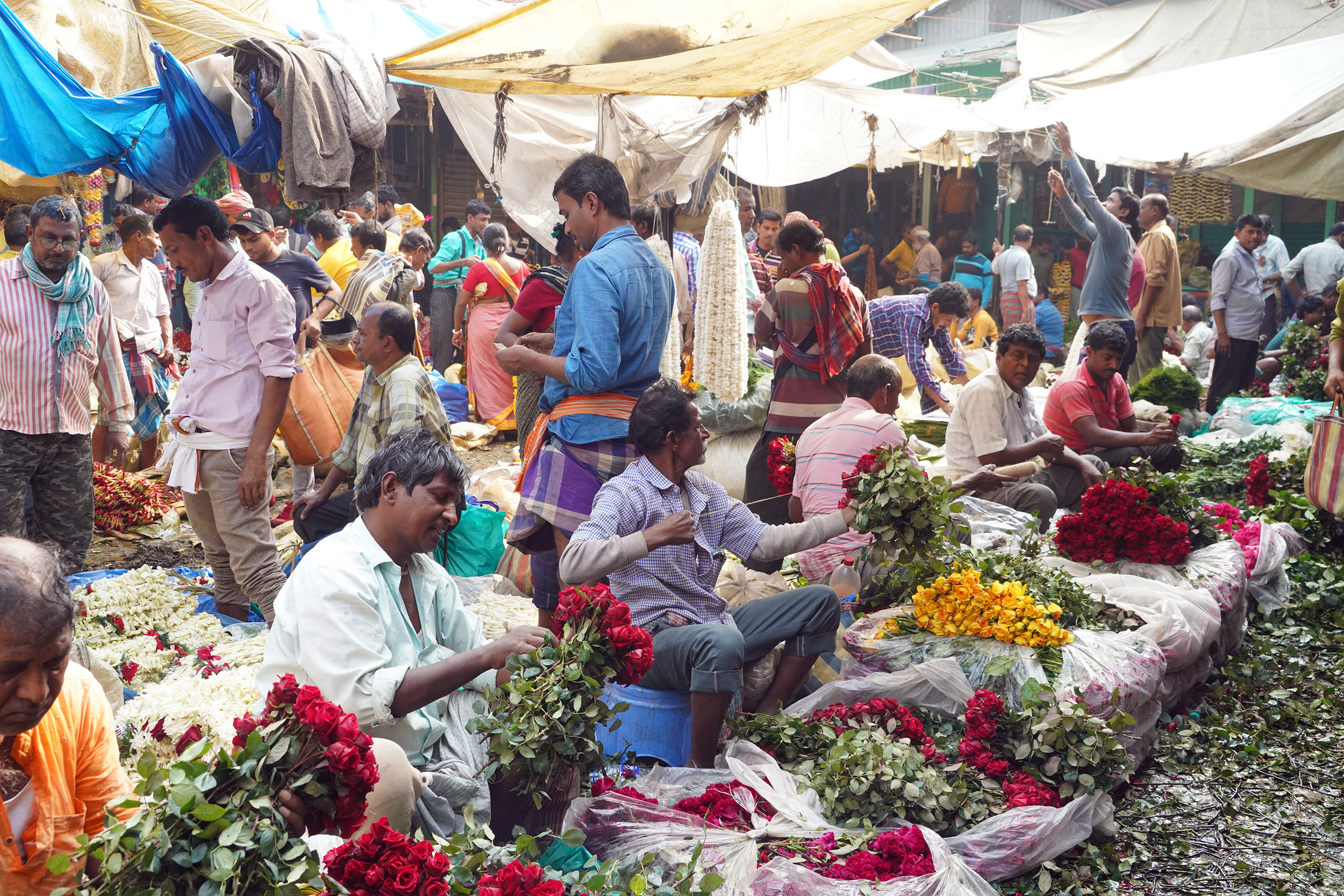 Le marché aux fleurs de Mallick Ghat à Kolkata