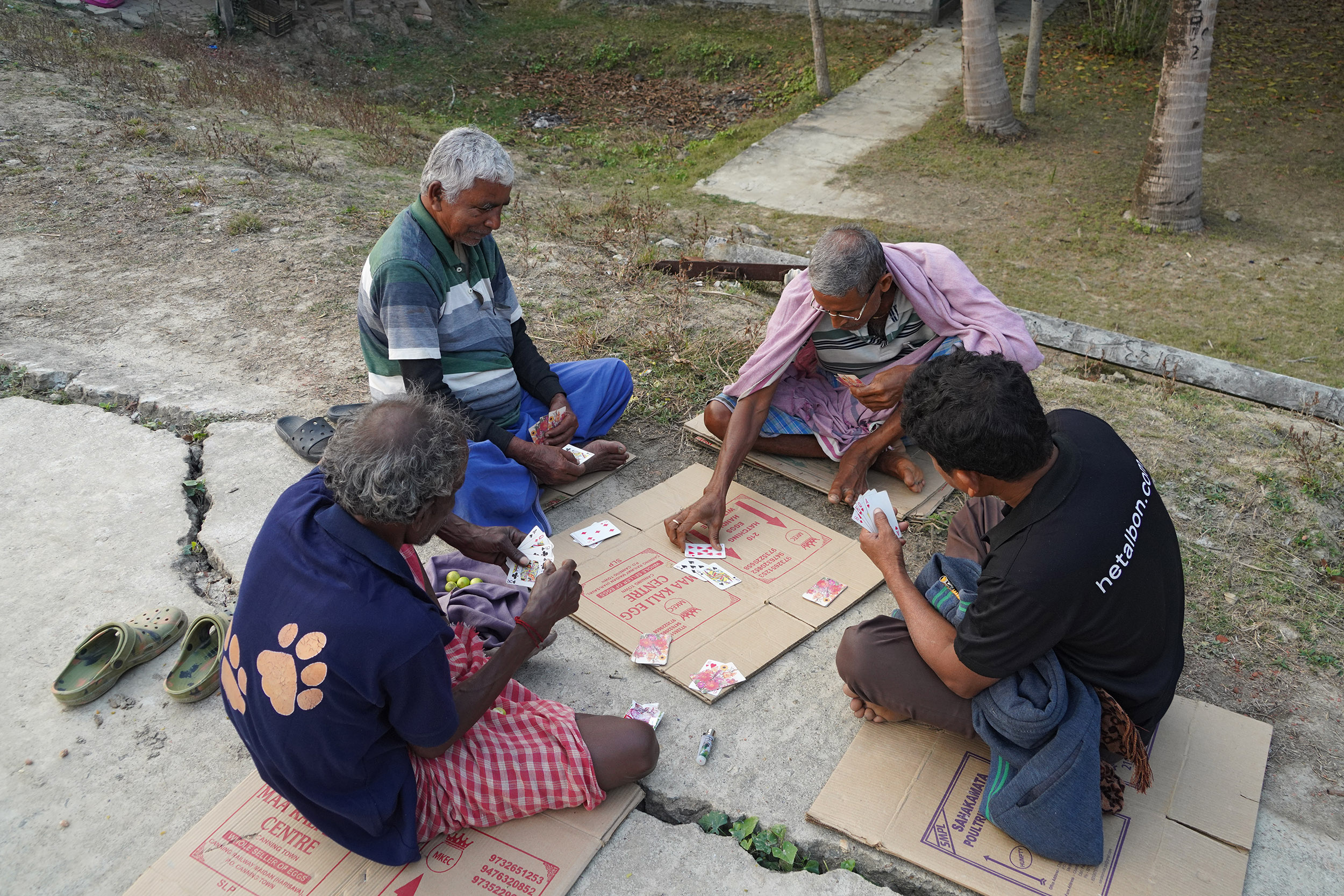 Parc national des Sundarbans