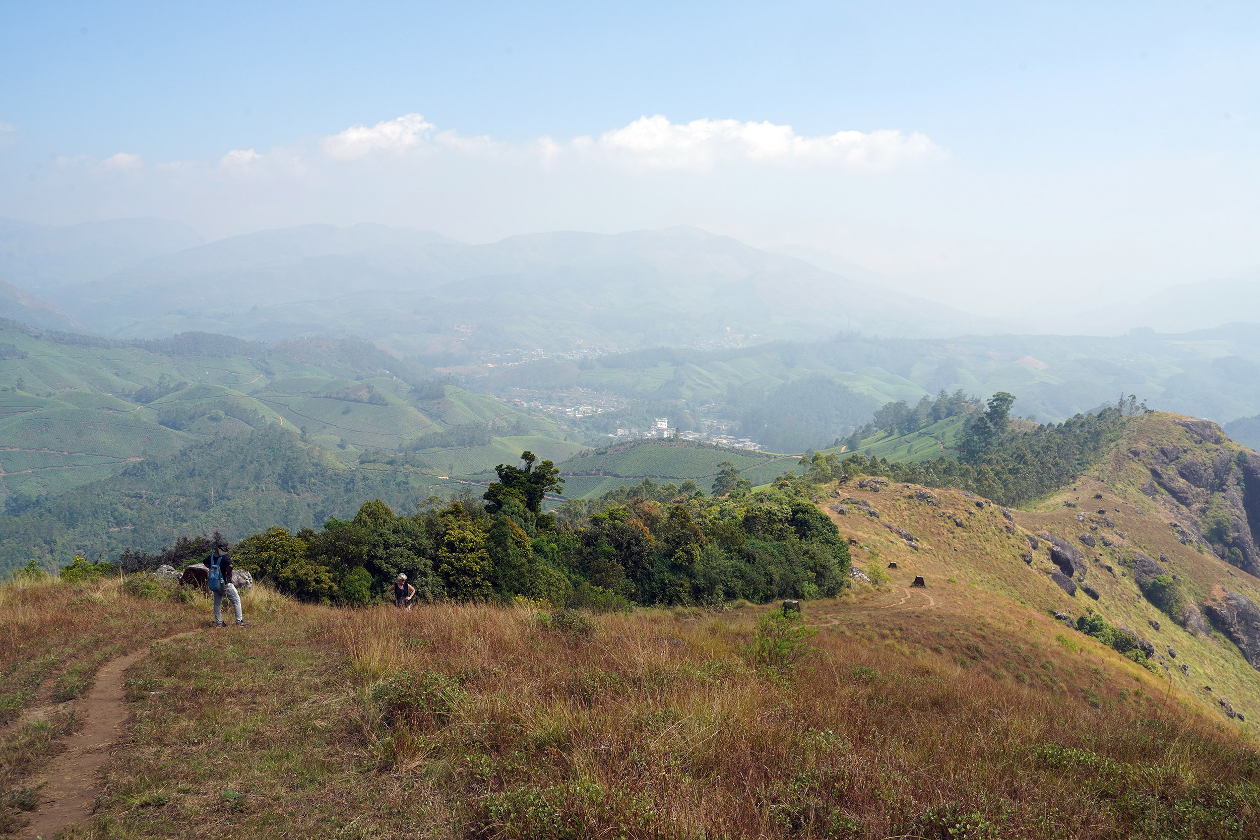 Plantations de thé à Munnar - Kérala