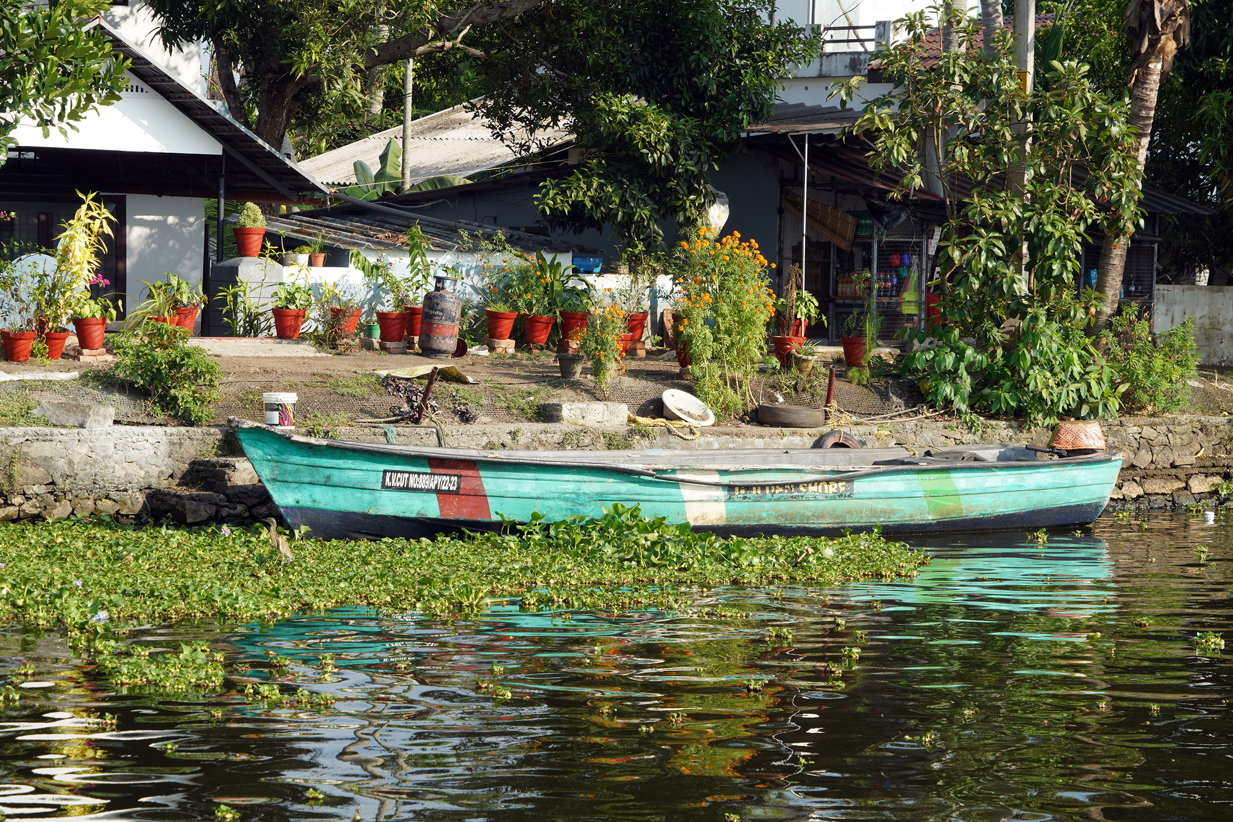 Monde lagunaire des Backwater - Kérala