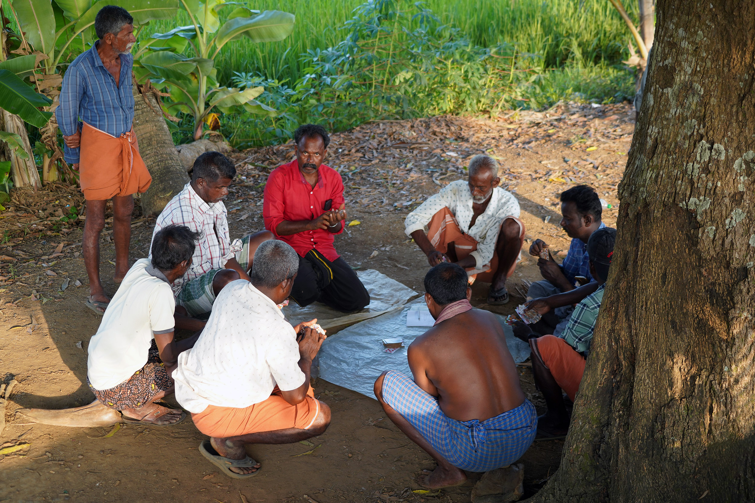 Monde lagunaire des Backwater - Kérala