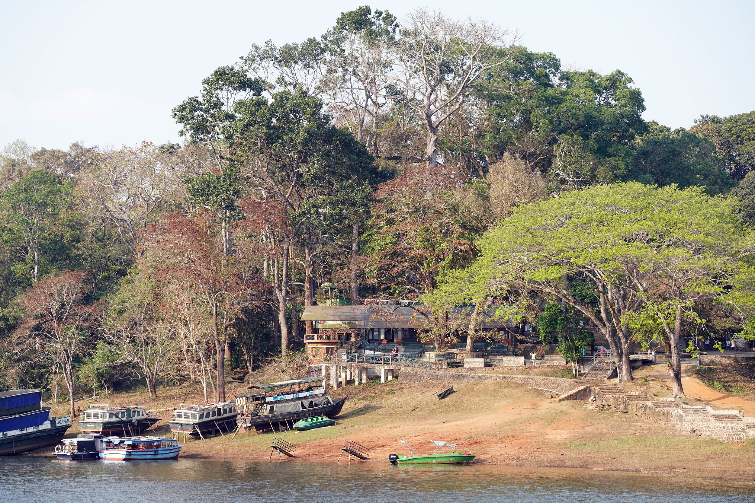 Parc national de Peryar - Thekkady