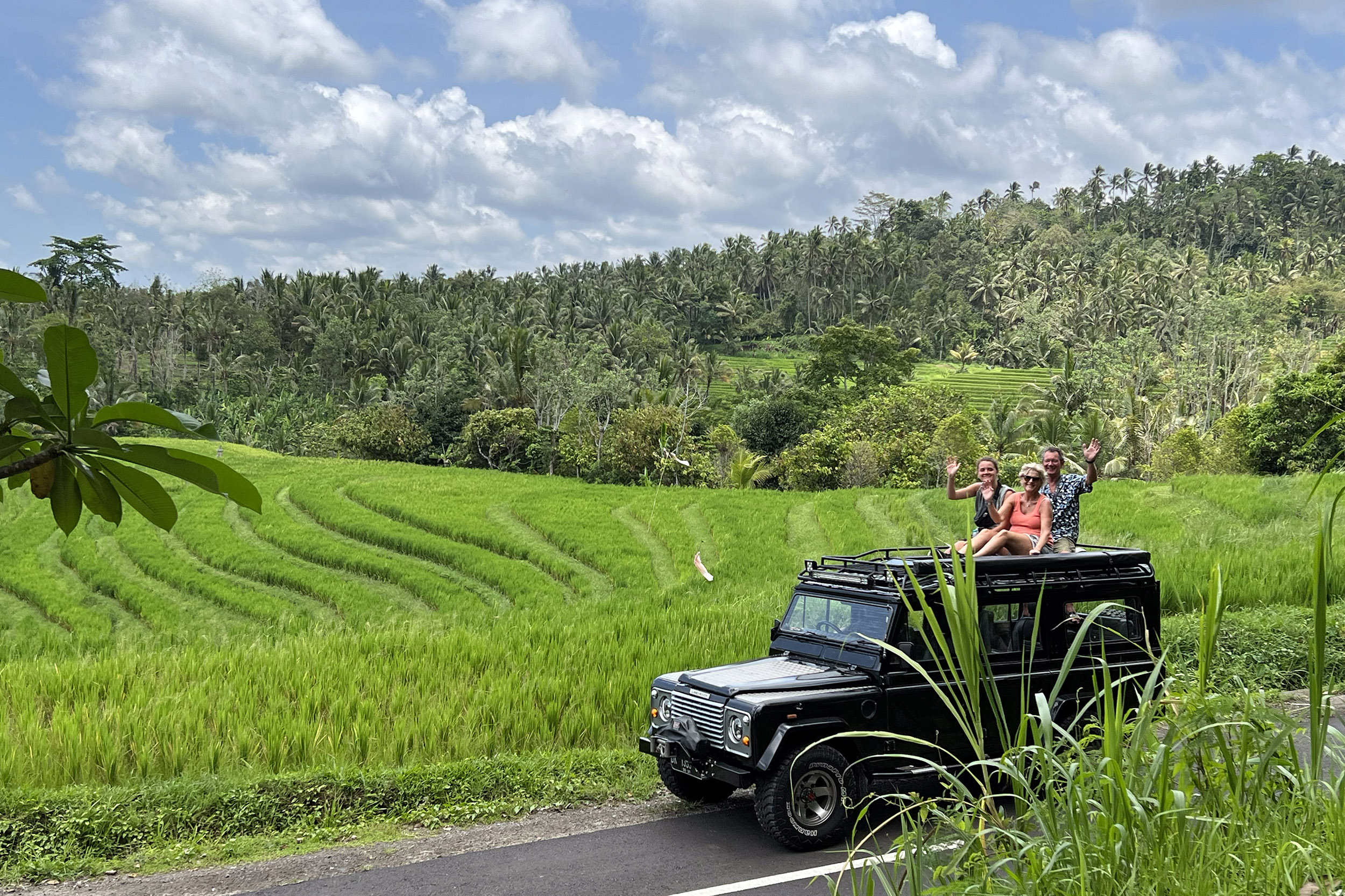 Rizières dans l'Ouest de Bali