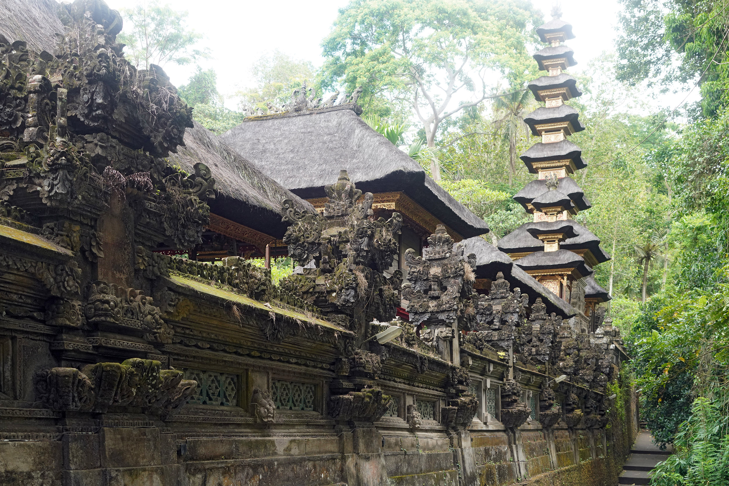 Sur les crêtes de Campuhan
