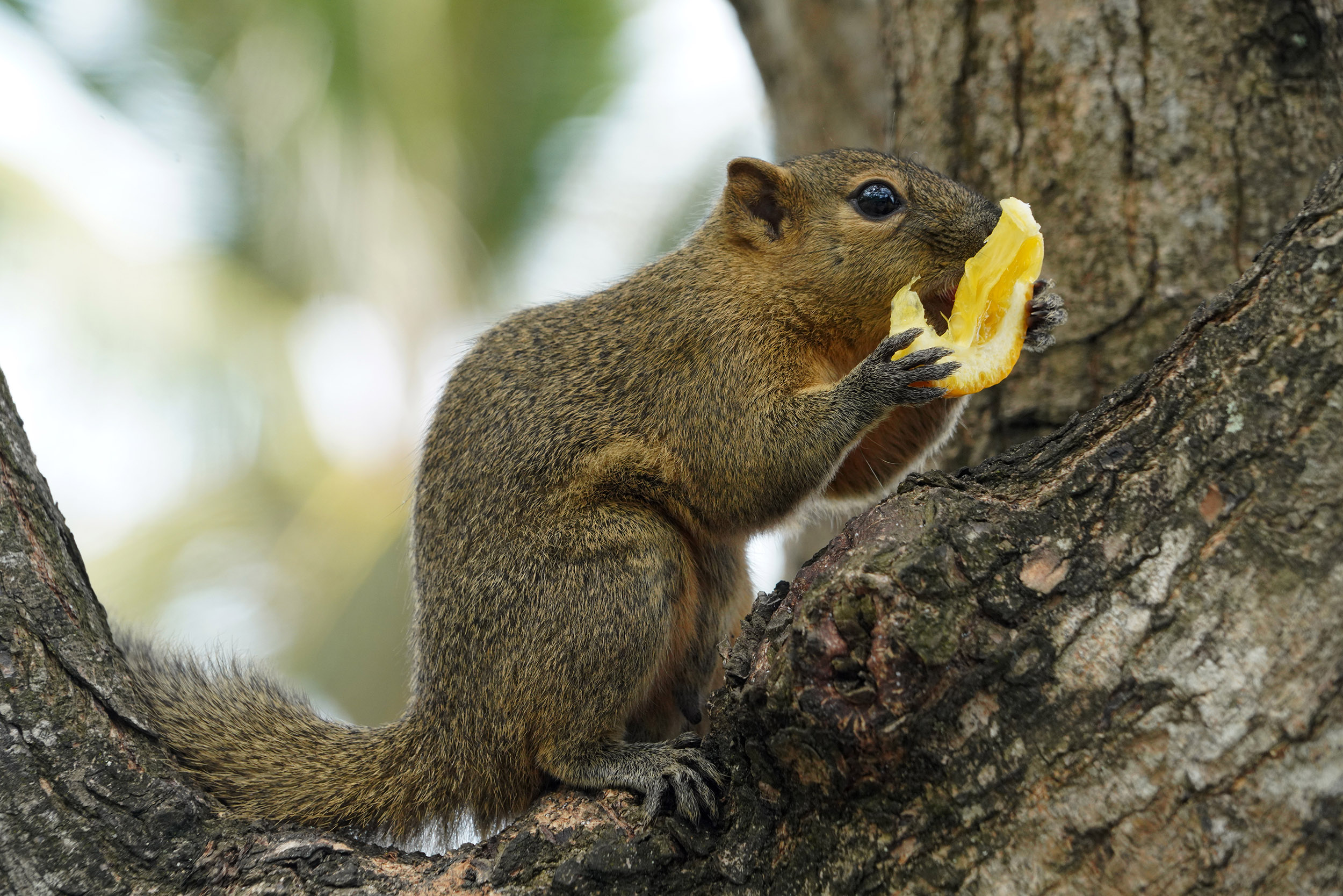 Autour du Bar de plage