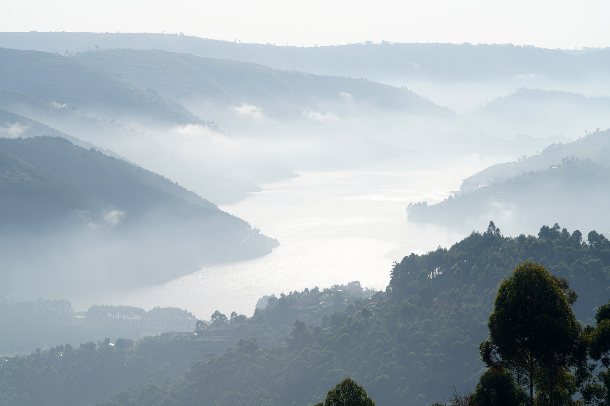 Ouganda - Perle de l'Afrique